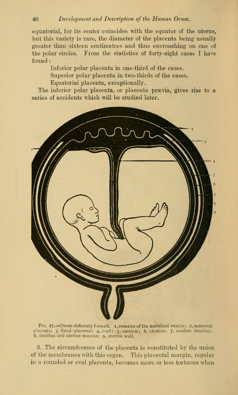 equatorial, for its center coincides with the equator of the uterus, but this variety is rare, the diameter of the placenta being usually greater than sixteen centimetres and thus encroaching on one of the polar circles. From the statistics of forty-eight cases I ha^e found : Inferior polar placenta in one-third of the cases. Superior polar placenta in two-thirds of the cases. Equatorial placenta, exceptionally. The inferior polar placenta, or placenta prsevia, gives rise to a series of accidents which will be studied later. Frr,. 27.—Ovum definitely formed. 1, remains of the umbilical vesicle; 2, maternal placenta; 3, fcetal placenta; 4, cord; 5, amnion; 6, chorion; 7, ovuline decidua; 8, decidua and uterine mucosa; 9, uterine wall. 3. The circumference of the placenta is constituted by the union of the membranes with this organ. This placental margin, regular in a rounded or oval placenta, becomes more or less tortuous when