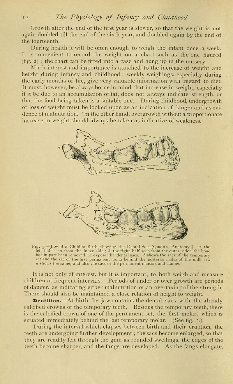Growth after the end of the first year is slower, so that the weight is not again doubled till the end of the sixth year, and doubled again by the end of the fourteenth. During health it will be often enough to weigh the infant once a week. It is con'/enient to record the weight on a chart such as the one figured (fig. 2) ; the chart can be fitted into a case and hung up in the nursery. Much interest and importance is attached to the increase of weight and height during infancy and childhood : weekly weighings, especially during the early months of life, give very valuable information with regard to diet. It must, however, be always borne in mind that increase in weight, especially if it be due to an accumulation of fat, does not always indicate strength, or that the food being taken is a suitable one. During childhood, undergrowth or loss of weight must be looked upon as an indication of danger and as evi- dence of malnutrition. On the other hand, overgrowth without a proportionate increase in weight should always be taken as indicative of weakness. Fig. 3.—Jaw of a Child at Birth, showing the Dental Sacs (Quain's 'Anatomy '). a, the left half seen from the inner side ; b, the right half seen from the outer side; the bone has in part been removed to expose the dental sacs, b shows the sacs of the temporary set and the sac of the first permanent molar behind the posterior molar of the milk set. a shows the same, and also the sacs of the permanent incisors and canine. It is not only of interest, but it is important, to both weigh and measure children at frequent intervals. Periods of under or over growth are periods of danger, as indicating either malnutrition or an overtaxing of the strength. There should also be maintained a close relation of height to weight. Dentition.—At birth the jaw contains the dental sacs with the already calcified crowns of the temporary teeth. Besides the temporary teeth, there is the calcified crown of one of the permanent set, the first molar, which is situated immediately behind the last temporary molar. (See fig. 3.) During the interval which elapses between birth and their eruption, the teeth are undergoing further development ; the sacs become enlarged, so that they are readily felt through the gum as rounded swellings, the edges of the teeth become sharper, and the fangs are developed. As the fangs elongate,