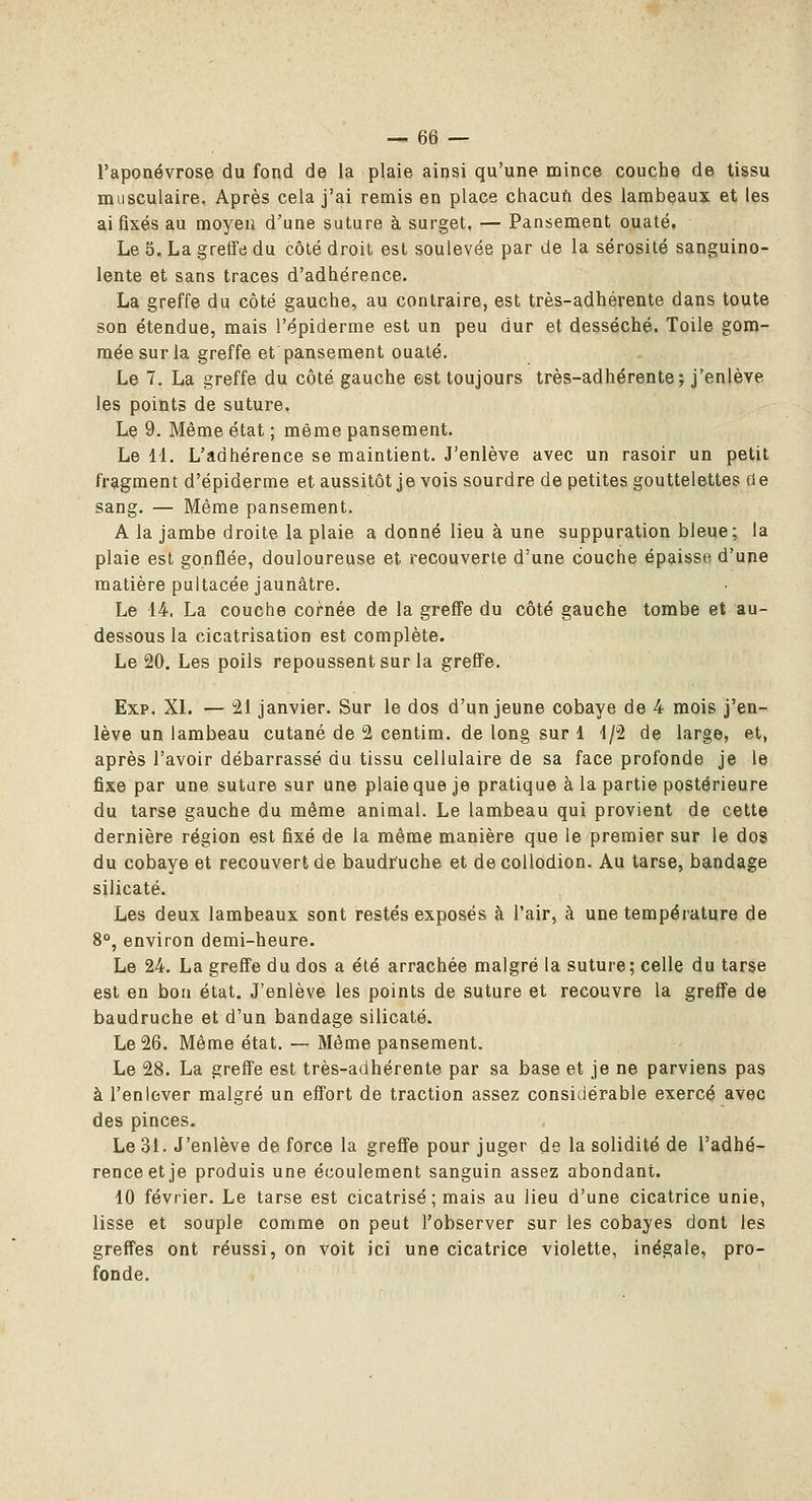 l'aponévrose du fond de la plaie ainsi qu'une naince couche de tissu musculaire. Après cela j'ai remis en place chacuft des lambeaux et les ai fixés au moyen d'une suture à surget. — Pansement ouaté. Le 5. La greffe du côté droit est soulevée par de la sérosité sanguino- lente et sans traces d'adhérence. La greffe du côté gauche, au contraire, est très-adhérente dans toute son étendue, mais l'épiderme est un peu dur et desséché. Toile goni- raéesurla greffe et pansement ouaté. Le 7. La greffe du côté gauche est toujours très-adhérente; j'enlève les points de suture. Le 9. Même état ; même pansement. Le 11. L'adhérence se maintient. J'enlève avec un rasoir un petit fragment d'épiderme et aussitôt je vois sourdre de petites gouttelettes de sang. — Même pansement. A la jambe droite la plaie a donné lieu à une suppuration bleue; la plaie est gonflée, douloureuse et recouverte d'une couche épaisse, d'une matière pultacée jaunâtre. Le 14. La couche cornée de la greffe du côté gauche tombe et au- dessous la cicatrisation est complète. Le 20. Les poils repoussent sur la greffe. Exp. XL — 21 janvier. Sur le dos d'un jeune cobaye de 4 mois j'en- lève un lambeau cutané de 2 centim. de long sur 1 ■1/2 de large, et, après l'avoir débarrassé du tissu cellulaire de sa face profonde je le fixe par une suture sur une plaie que je pratique à la partie postérieure du tarse gauche du même animal. Le lambeau qui provient de cette dernière région est fixé de la même manière que le premier sur le dos du cobaye et recouvert de baudruche et de coUodion. Au tarse, bandage silicate. Les deux lambeaux sont restés exposés à l'air, à une température de 8°, environ demi-heure. Le 24. La greffe du dos a été arrachée malgré la suture; celle du tarse est en bon état. J'enlève les points de suture et recouvre la greffe de baudruche et d'un bandage silicate. Le 26. Même état. — Même pansement. Le 28. La greffe est très-adhérente par sa base et je ne parviens pas à l'enlever malgré un effort de traction assez considérable exercé avec des pinces. Le 31. J'enlève de force la greffe pour juger de la solidité de l'adhé- rence et je produis une écoulement sanguin assez abondant. 10 février. Le tarse est cicatrisé; mais au lieu d'une cicatrice unie, lisse et souple comme on peut l'observer sur les cobayes dont les greffes ont réussi, on voit ici une cicatrice violette, inégale, pro- fonde.