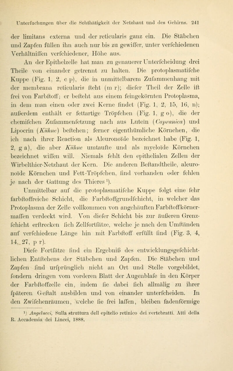 der limitans externa und der reticularis ganz ein. Die Stäbchen und Zapfen füllen ihn auch nur bis zu gewilTer, unter verfchiedenen VerhältniÜen verlchiedener, Höhe aus. An der Epithelzelle hat man zu genauerer Unterfcheidung drei Theile von einander getrennt zu halten. Die protoplasmatifche Kuppe (Fig. 1. 2, cp), die in unmittelbarem Zufammenhang mit der membrana reticularis Iteht (m r); dieler Theil der Zelle ift frei von FarbltofF; er befteht aus einem feingekörnten Protoplasma, in dem man einen oder zwei Kerne findet (Fig. 1, 2, 15, 16, n); außerdem enthält er fettartige Tröpfchen (Fig. 1, g o), die der chemilchen Zufammenfetzung nach aus Lutein {(Japranica) und Lipocrin [Kühne) beftehen; ferner eigenthüraliche Körnchen, die ich nach ihrer Reaction als Aleuronoide bezeichnet habe (Fig. 1, 2, g a), die aber Kühne umtaufte und als myeloide Körnchen bezeichnet wiffen will. Niemals fehlt den epithelialen Zellen der Wirbelthier-Netzhaut der Kern. Die anderen Beftandtheile, aleuro- noide Körnchen und Fett-Tröpfchen, lind vorhanden oder fehlen je nach der Gattung des Thieres ^). Unmittelbar auf die protoplasmatifche Kuppe folgt eine fehr farbftoflreiche Schicht, die Farbltoffgrundfchicht, in welclier das Protoplasma der Zelle vollkonnnen von angehäuften FarbltofFkörner- malTen verdeckt wird. Von diefer Schicht bis zur äußeren Grenz- ichicht erllrecken lieh Zellfortfätze, welche je nach den Umftänden auf verfchiedene Länge hin mit Farbftoff erfüllt find (Fig. 3, 4, 14,.27, pr). Diefe Fortfätze lind ein Ergebniß des entwicklungsgefchicht- lichen Entftehens der Stäbchen und Zapfen. Die Stäbchen und Zapfen find urfprünglich nicht an Ort und Stelle vorgebildet, fondern dringen vom vorderen Blatt der Augenblafe in den Körper der Farbftoffzelle ein, indem fie dabei iich allmälig zu ihrer fpäteren Geftalt ausbilden und von einander unterfcheiden. In den Zwifchenräumen, v^^elche fie frei lafien, bleiben fadenförmige ^) Amjelucci, Sulla struttura dell epitelio retinico dei vertebratti. Atti della R. Accademia dei Lincei, 1888.