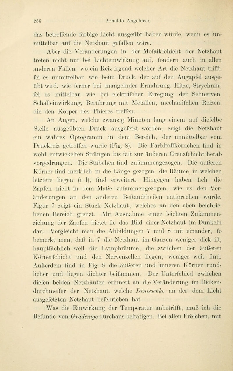 das betreffende farbige Licht ausgeübt liaben würde, wenn es un- mittelbar auf die Netzhaut gefallen wäre. Aber die Veränderungen in der Mofaikfchicht der Netzhaut treten nicht nur bei Lichteinwirkung auf, Ibndern auch in allen anderen Fällen, wo ein Reiz irgend welcher Art die Netzhaut trifft, fei es unmittelbar wie beim Druck, der auf den Augapfel ausge- übt wird, wie ferner bei mangelnder Ernährung, Hitze, Strychnin; fei es mittelbar wie bei elektrifcher Erregung der Sehnerven, Schalleinwirkung, Berührung mit Metallen, mechanifchen Reizen, die den Körper des Thieres treffen. An Augen, welche zwanzig INIinuten lang einem auf diefelbe Stelle ausgeübten Druck ausgefetzt worden, zeigt die Netzhaut ein wahres Optogramm in dem Bereich, der unmittelbar vom Druckreiz getroffen wurde (Fig. 8). Die Farbftoffkörnchen find in wohl entwickelten Strängen bis faft zur äußeren Grenzfchicht herab vorgedrungen. Die Stäbchen Und zufammengezogen. Die äußeren Körner find merklich in die Länge gezogen, die Räume, in welchen letztere liegen (c 1), find erweitert. Hingegen Ijaben lieh die Zapfen nicht in dem Maße zufammengezogen, wie es den Ver- änderungen an den anderen Bcftandtheilen entfprechen würde. Figur 7 zeigt ein Stück Netzhaut, welches an den eben befchrie- benen Bereich grenzt. Mit Ausnahme einer leichten Zufammen- ziehung der Zapfen bietet lie das Bild einer Netzhaut im Dunkeln dar. Vergleicht man die Abbildungen 7 und 8 init einander, fo bemerkt man, daß in 7 die Netzhaut im Ganzen weniger dick ift, hauptfächlich weil die Lymphräume, die z\\ifchen der äußeren Körnerfchicht und den Nervenzellen liegen, weniger weit find. Außerdem find in Fig. 8 die äußeren und inneren Körner rund- licher und liegen dichter beifammen. Der LTnterfchied zwifchen diefen beiden Netzhäuten erinnert an die Veränderung im Dicken- durchmeffer der Netzhaut, welche Bcnlsscnlio an der dem Licht ausgefetzten Netzhaut befchrieben hat. Was die Einwirkung der Temperatur anbetrifft, muß ich die Befunde von Gradenigo durchaus beftätigen. Bei allen Fröfchen, mit