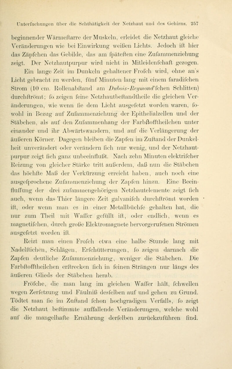 beginnender Wärmeftarre der Muskeln, erleidet die Netzhaut gleiche Veränderungen wie bei Einwirkung weißen Lichts. Jedoch ift hier das Zäpfchen das Gebilde, das am fpäteften eine Zufamnienziehung zeigt. Der Netzhautpurpur wird nicht in Mitleiden ich aft gezogen. Ein lange Zeit im Dunkeln gehaltener Frofch wird, ohne an's Licht geljracht zu werden, fünf Minuten lang mit einem faradilchen Strom (10 cm. Rollenabltand am Duhois-Piei/nwncrkhen Schlitten) durchrtrömt; ib zeigen feine Netzhautbeftandtheile die gleichen Ver- änderungen, wie wenn lie dem Licht ausgefetzt worden waren, Ib- wohl in Bezug auf Zufammenziehung der Epithelialzellen und der Stäbchen, als auf den Zufammenhang der Farbftofftheilchen unter einander und ihr Abwärts wandern, und auf die Verlängerung der äußeren Körner. Dagegen bleiben die Zapfen im Zuftand der Dunkel- heit unverändert oder verändern fich nur wenig, und der Netzhaut- purpur zeigt fich ganz unbeeinflußt. Nach zehn Minuten elektrifcher Reizung von gleicher Stärke tritt außerdem, daß nun die Stäbchen das höchfle ]\Iaß der Verkürzung erreicht haben, auch noch eine ausgefprochene Zufammenziehung der Zapfen hinzu. Eine Beein- flulfung der drei zufammengehörigen Netzhautelemente zeigt fich auch, wenn das Thier längere Zeit galvanifch durchftrömt worden ift, oder wenn man es in einer Metallbüchfe gehalten hat, die nur zum Theil mit WalTer gefüllt ift, oder endlich, wenn es magnetifchen, durch große Elektromagnete hervorgerufenen Strömen ausgefetzt worden ifl. Reizt man einen Frofch etwa eine halbe Stunde lang mit Nadelftichen, Schlägen, Erfchütterungen, fo zeigen darnach die Zapfen deutliche Zufammenziehung, weniger die Stäbchen. Die Farbftofftheilchen erftrecken fleh in feinen Strängen nm* längs des äußeren Glieds der Stäbchen herab. Fröfche, die man lang im gleichen Waffer hält, Ich wellen wegen Zerfetzung und Fäulniß desfelben auf und gehen zu Grund. Tödtet man fie im Zuftand fchon hochgradigen Verfalls, fo zeigt die Netzhaut beftimmfte auffallende Veränderungen, welche wohl auf die mangelhafte Ernährung derfelben zurückzuführen find.