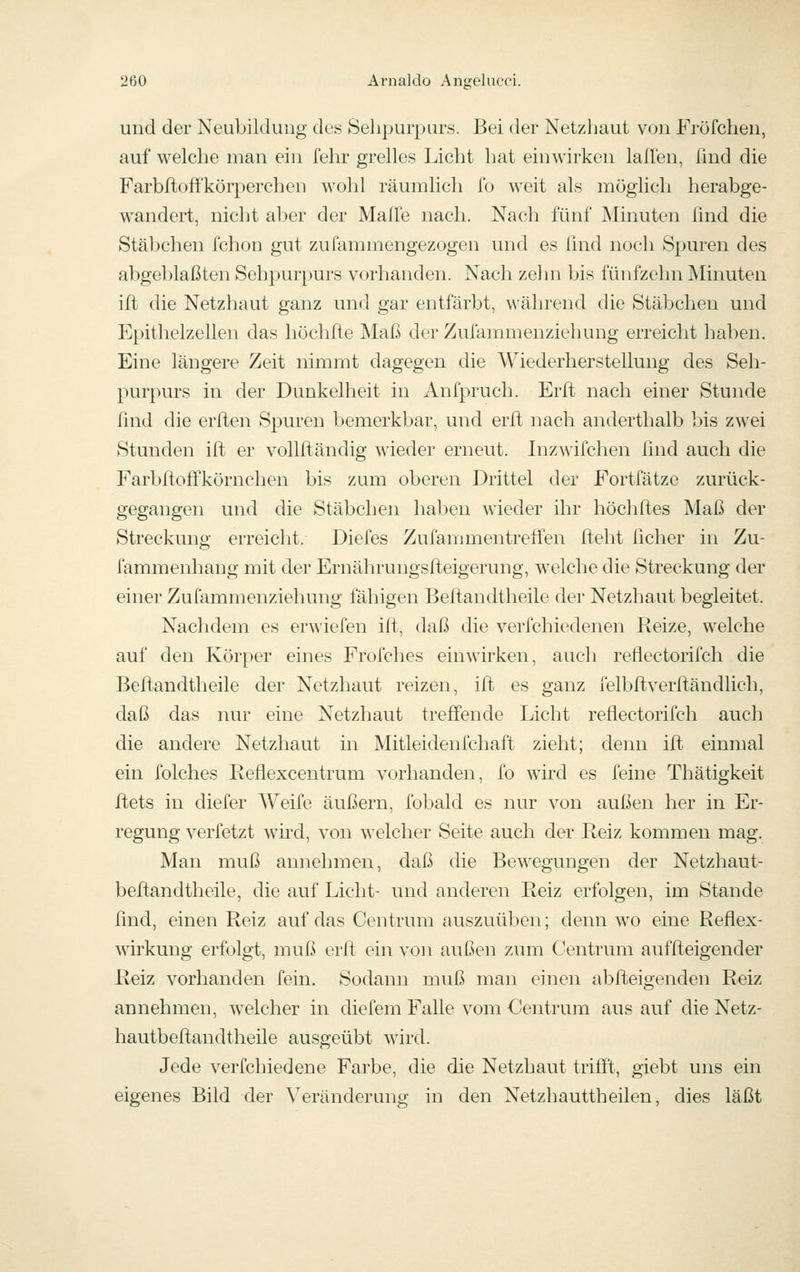 und der Neubildung des Sehpurpurs. Bei der Netzhaut von Fröfchen, auf welche man ein fehr grelles Licht hat einwirken lallen, find die Farbftoft'körperchen wohl räumlich Ib weit als möglich herabge- wandert, nicht aber der Maffe nach. Nach fünf Minuten lind die Stäbchen fchon gut zuiammengezogen und es lind noch Spuren des abgeblaßten Sehpurpurs vorhanden. Nach zehn bis fünfzehn Minuten ift die Netzhaut ganz und gar entfärbt, während die Stäbchen und P^pithelzellen das höchfte Maß der Zulammenziehung erreicht haben. Eine längere Zeit nimmt dagegen die Wiederherstellung des Seh- purpurs in der Dunkelheit in Anfpruch. Erft nach einer Stunde find die erften Spuren bemerkbar, und erft nach anderthalb bis zwei Stunden ift er volUfändig wieder erneut. Inzwifchen find auch die FarbftofFkörnchen bis zum oberen Drittel der Fortfätze zurück- gegangen und die Stäbchen haben wieder ihr höchftes Maß der Streckung erreicht. Diefes Zufammentreffen fleht ficher in Zu- fammenhang mit der Ernährungsfteigerung, welche die Streckung der einer Zufammenziehung fähigen Beftandtheile der Netzhaut begleitet. Nachdem es erwiefen ift, daß die verlchiedenen Reize, welche auf den Körper eines Frofches einwirken, aucli reflectorifch die Beftandtheile der Netzhaut reizen, ift es ganz felbftverftändlich, daß das nur eine Netzhaut treffende Licht reflectorifch auch die andere Netzhaut in Mitleidenfchaft zieht; denn ift einmal ein folches Reflexcentrum vorhanden, fo wird es feine Thätigkeit ftets in diefer Weife äußern, fobald es nur von außen her in Er- regung verfetzt wü'd, von welcher Seite auch der Reiz kommen mag. Man muß annehmen, daß die Bewegungen der Netzhaut- beftandtheile, die auf Licht- und anderen Reiz erfolgen, im Stande find, einen Reiz auf das Centrum auszuüben; denn wo eine Reflex- wirkung erfolgt, muß erft ein von außen zum Centrum auffteigender Reiz vorhanden fein. Sodann muß man einen abfteigenden Reiz annehmen, welcher in diefem Falle vom Centrum aus auf die Netz- hautbeftandtheile ausgeübt wird. Jede verfchiedene Farbe, die die Netzhaut trifft, giebt uns ein eigenes Bild der Veränderung in den Netzhauttheilen, dies läßt