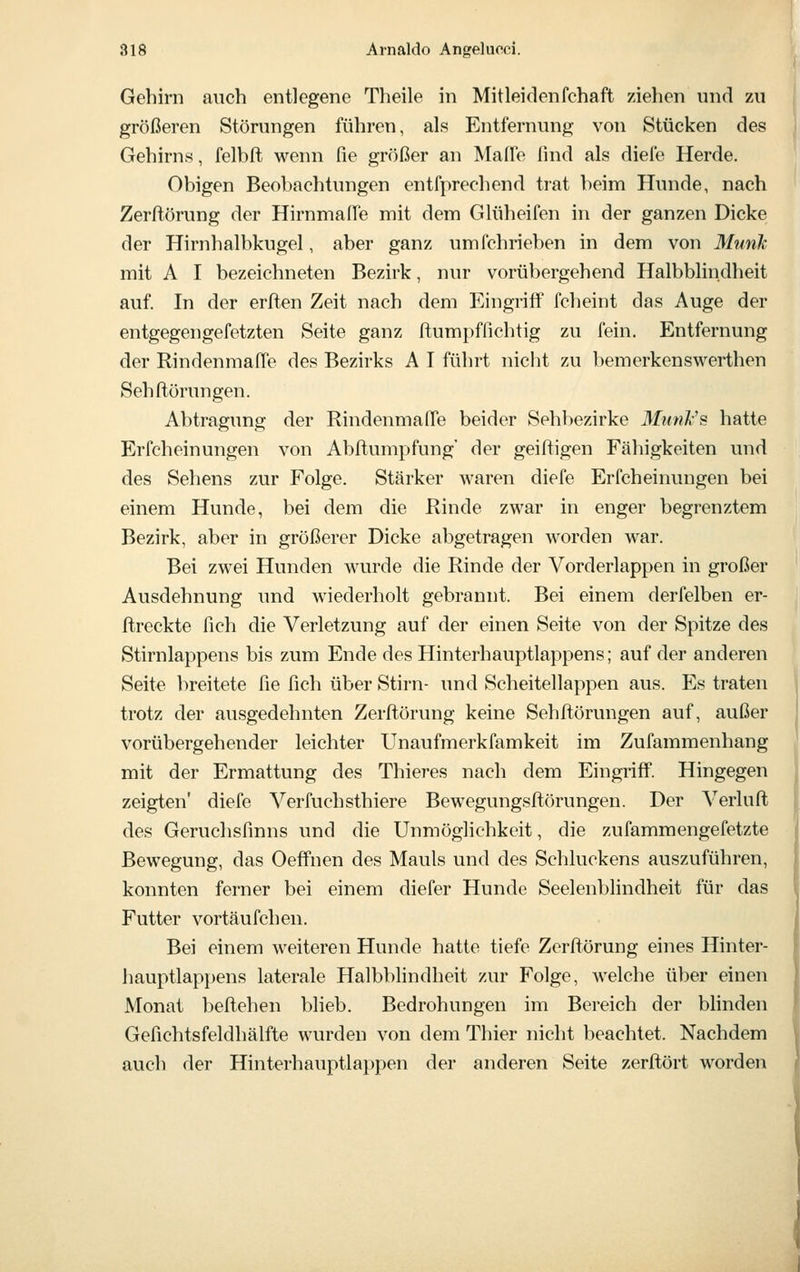 Gehirn auch entlegene Theile in Mitleidenfchaft ziehen imd zu größeren Störungen führen, als Entfernung von Stücken des Gehirns, felbft wemi fie größer an Maffe ßnd als diefe Herde. Obigen Beobachtungen entfprechend trat beim Hunde, nach Zerftörung der Hirnmaße mit dem Glüheifen in der ganzen Dicke der Hirnhalbkugel, aber ganz umfchrieben in dem von Munk mit A I bezeichneten Bezirk, nur vorübergehend Halbblindheit auf In der erften Zeit nach dem Eingriff fcheint das Auge der entgegengefetzten Seite ganz ftumpffichtig zu fein. Entfernung der Rindenmaße des Bezirks A I führt nicht zu bemerkenswerthen Sehftörungen. Abtragung der Rindenmaße beider Sehbezirke Munl's hatte Erfcheinungen von Abftumpfung der geiftigen Fähigkeiten und des Sehens zur Folge. Stärker waren diefe Erfcheinungen bei einem Hunde, bei dem die Rinde zwar in enger begrenztem Bezirk, aber in größerer Dicke abgetragen worden war. Bei zwei Hunden wurde die Rinde der Vorderlappen in großer Ausdehnung und wiederholt gebrannt. Bei einem derfelben er- ftreckte ßch die Verletzung auf der einen Seite von der Spitze des Stirnlappens bis zum Ende des Hinterhauptlappens; auf der anderen Seite breitete ße ßch über Stirn- und Scheitellappen aus. Es traten trotz der ausgedehnten Zerftörung keine Sehftörungen auf, außer vorübergehender leichter Unaufmerkfamkeit im Zufammenhang mit der Ermattung des Thieres nach dem Eingriff. Hingegen zeigten' diefe Verfuchsthiere Bewegungsftörungen. Der Verluft des Geruchsßnns und die Unmöglichkeit, die zufammengefetzte Bewegung, das Oeffnen des Mauls und des Schluckens auszuführen, konnten ferner bei einem diefer Hunde Seelenblindheit für das Futter vortäufchen. Bei einem weiteren Hunde hatte tiefe Zerftörung eines Hinter- hauptlappens laterale Halbblindheit zur Folge, welche über einen Monat beftehen blieb. Bedrohungen im Bereich der blinden Gefichtsfeldhälfte wurden von dem Thier nicht beachtet. Nachdem auch der Hinterhauptlappen der anderen Seite zerftört worden