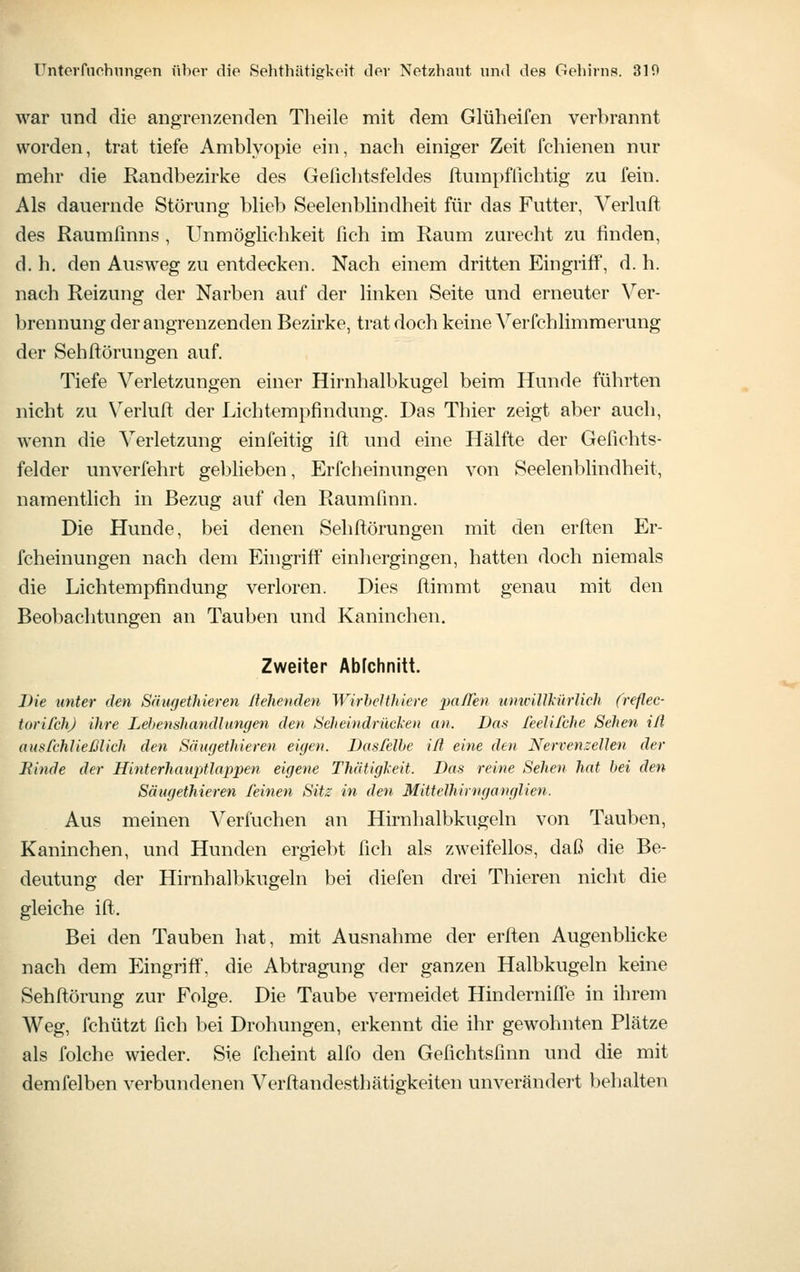 war nnd die angrenzenden Theile mit dem Glüheifen verbrannt worden, trat tiefe Amblyopie ein, nach einiger Zeit fchienen nur mehr die Randbezirke des Gefichtsfeldes ftumpfliclitig zu fein. Als dauernde Störung blieb Seelenblindheit für das Futter, Verluft des Raumfinns , Unmöglichkeit fich im Raum zurecht zu finden, d. h. den Ausweg zu entdecken. Nach einem dritten Eingriff, d. h. nach Reizung der Narben auf der linken Seite und erneuter Ver- brennung der angrenzenden Bezh-ke, trat doch keine Verfchlimmerung der Sehftörungen auf. Tiefe Verletzungen einer Hirnhalbkugel beim Hunde führten nicht zu \^erluft der Lichtempfindung. Das Thier zeigt aber auch, wenn die Verletzung einfeitig ift und eine Hälfte der Gefichts- felder unverfehrt geblieben, Erfcheinungen von Seelenblindheit, namentlich in Bezug auf den RaumQnn. Die Hunde, bei denen Sehftörungen mit den erften Er- fcheinungen nach dem Eingriff einhergingen, hatten doch niemals die Lichtempfindung verloren. Dies ftimmt genau mit den Beobachtungen an Tauben und Kaninchen. Zweiter Abfchnitt. Die unter den Sättgethieren Hellenden Wirbelthiere pa/Te« unwillkürlich freflec- torifchj ihre Lehenshandlungen den Seheindrücken an. Das feelifche Sehen iß, aus fehl ießlich den Säugethieren eigen. Dasfelbe iß eine den Nervenzellen der Binde der HinterhaupÜappen eigene Thätigkeit. Das reine Sehen hat hei den Säugethieren feinen Sitz in den Mittelhirnganglien. Aus meinen Verfuchen an Hirnhalbkugeln von Tauben, Kaninchen, und Hunden ergiebt fich als zweifellos, daß die Be- deutung der Hirnhalbkugeln bei diefen drei Thieren nicht die gleiche ift. Bei den Tauben hat, mit Ausnahme der erften Augenblicke nach dem Eingriff, die Abtragung der ganzen Halbkugeln keine Sehftörung zur Folge. Die Taube vermeidet Hinderniffe in ihrem Weg, fchützt fich bei Drohungen, erkennt die ihr gewohnten Plätze als folche wieder. Sie fcheint alfo den Gefichtsfinn und die mit demfelben verbundenen Verftandesthätigkeiten unverändert behalten
