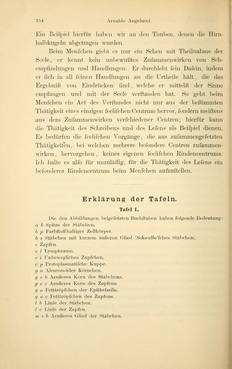 Ein Beilpicl liiorfür haben wir an den Tauljen, denen die Hirn- luül3kugeln abgetragen wurden. Beim Menfchen giebt es nur ein Sehen mit Theihiahme der Seele, er kennt kein unbewußtes Zufammenwirken von Seh- empfindungen und Handhmgen. Er durchlebt fein Daiein, indem er fich in all feinen Handlungen an die Urtheile liält, die das Ergebniß von Eindrücken lind, welclie er mittelft der Sinne empfangen und mit der Seele verftanden hat. So geht beim Menfchen ein Act des Verflandes nicht nur aus der beftiramten Tliätigkeit eines einzigen feelifchen Centrum hervor, fondern meiftens aus dem Zufammen wirken verfchiedener Centren; hierfür kann die Thätigkeit des Schreibens und des Lefens als Beifpiel dienen. Es bedürfen die feelifchen ^^orgänge, die aus zufammengefetzten Thätigkeiten, bei welchen mehrere befondere Centren zufammen- wirken, hervorgehen, keines eigenen feelifchen Rindencentrums. Ich halte es alfo für unzuläflig, für die Thätigkeit des Lefens ein befonderes Rindencentrum beim Menfchen aufzuftellen. Erklärung der Tafeln. Tafel 1. Die den Abbildungen beigefetzten JBuchftaben haben folgende Bedeutung: a h Spitze der Stäbchen. h p FarbftofFhaltiger Zellkörper. h s Stäbchen mit kurzem äußeren Glied {Schicalbc'Mies StälK'hen). c Zapfen, c l Lymphraum, c i Unbewegliches Zäpfchen, c p Protoplasmatifche Kuppe. f) a Aleuronoides Körnchen. geh Aeußeres Korn des Stäbchens. g e c Aeußeres Korn des Zapfens. g 0 Fetttröpfehen der Epithelzelle. g 0 c Fetttröpfchen des Zapfens. l h Linfe der Stäbchen. l c Linfe der Zapfen. m e h Aeußeies Glied der Stäbchen.