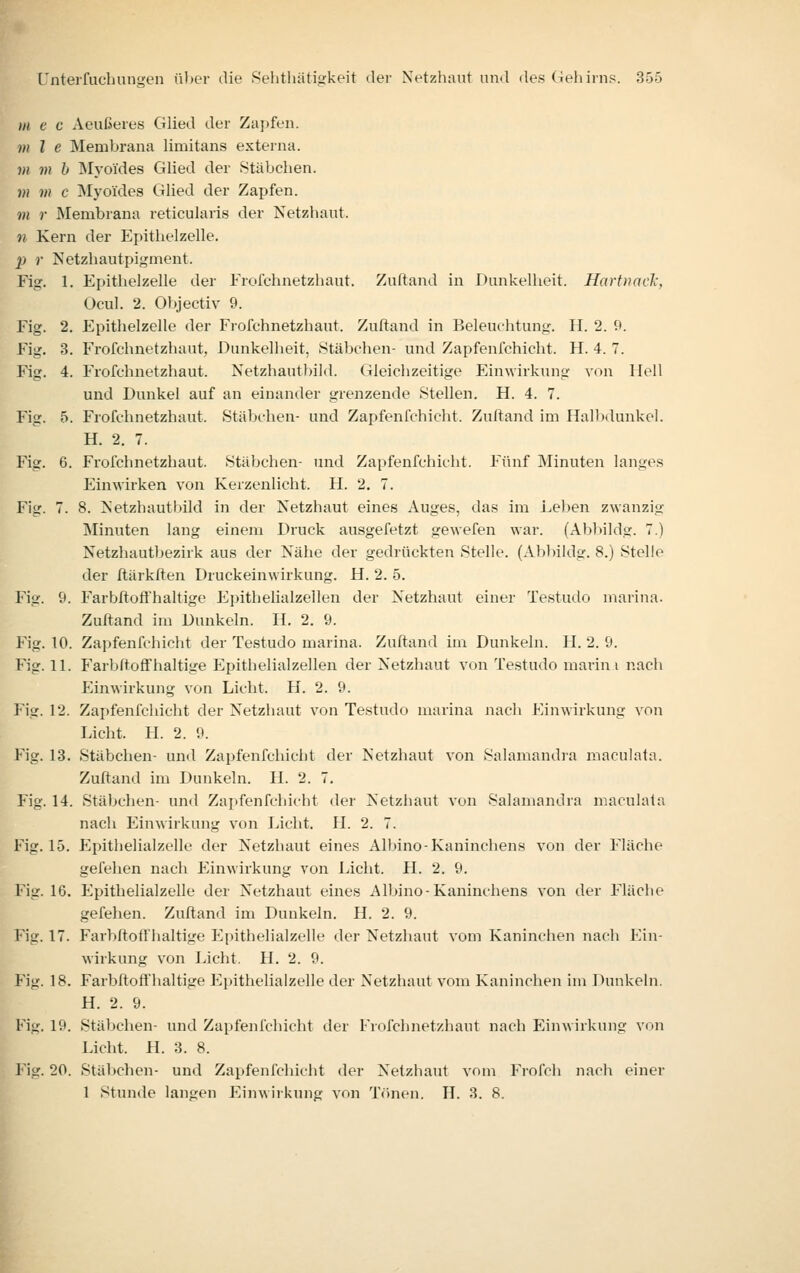 m c c Aeußeres Glied der Za])fen. VI l e Membrana limitans externa. m m h ]\Iyo'ides Glied der Stäbchen. m m c INIyoides Glied der Zapfen. m r Membrana reticularis der Netzhaut. n Kern der Epithelzelle. p r Netzhautpigment. Fig. 1. Epithelzelle der Frofehnetzhaut. Zuftand in Dunkelheit. Hartiutcl-, Ocul. 2. Objectiv 9. Fig. 2. Epithelzelle der Frofehnetzhaut. Zuftand in Beleuchtung. H. 2. 9. Fig. 3. Frofehnetzhaut, Dunkelheit, Stäbchen- und Zapfenfchicht. H. 4. 7. Fig. 4. Frofchnetzliaut. Netzhautbild. Gleichzeitige Einwirkung von Hell und Dunkel auf an einander grenzende Stellen. H. 4. 7. Fig. 5. Frofehnetzhaut. Stäbchen- und Zapfenfchicht. Zuftand im Halbdunkel. H. 2. 7. Fig. 6. Frofehnetzhaut. Stäbchen- und Zapfenfchicht. Fünf Minuten langes Einwirken von Kerzenlicht. H. 2. 7. Fig. 7. 8. Netzhautbild in der Netzhaut eines Auges, das im Leben zwanzig Minuten lang einem Druck ausgefetzt gewefen war. (Abbildg. 7.) Netzhautbezirk aus der Nähe der gedrückten Stelle. (Abbildg. 8.) Stelle der ftärkften Druckeinwirkung. H. 2. 5. Fig. 9. Farbftoti'haltige Epithelialzellen der Netzhaut einer Testudo marina. Zuftand im Dunkeln. H. 2. 9. Fig. 10. Zapfenfchicht der Testudo marina. Zuftand im Dunkeln. H. 2. 9. Fig. 11. Farbftoffhaltige Epithelialzellen der Netzhaut von Testudo marin i nach Einwirkung von Licht. H. 2. 9. Fig. 12. Zapfenfchicht der Netzhaut von Testudo marina nach Einwirkung von Licht. H. 2. 9. Fig. 13. Stäbchen- und Zapfenfchicht der Netzhaut von Salamandra maculata. Zuftand im Dunkeln. H. 2. 7, Fig. 14. Stäbchen- und Zai)fenfchicht der Netzhaut von Salamandra maculala nach Einwirkung von Licht. H. 2. 7. Fig. 15. p]pitlielialzelle der Netzhaut eines Albino-Kaninchens von der Fläche gefehen nach Einwirkung von Licht. H. 2. 9. Fig. 16. Epithelialzelle der Netzhaut eines Albino-Kaninchens von der Fläche gefehen. Zuftand im Dunkeln. H. 2. 9. Fig. 17. Farbftoffhaltige P^i)ithelialzelle der Netzhaut vom Kaninchen nach Ein- wirkung von Licht. H. 2. 9. Fig. 18. Farbftoft'haltige i^pithelialzelle der Netzhaut vom Kaninchen im Dunkeln. H. 2. 9. Fig. 19. Stäbchen- und Zapfenfchicht der Frofehnetzhaut nach Einwirkung von Licht. H. 3. 8. Fig. 20. Stäbchen- und Zapfenfchicht der Netzhaut vom Frofch nach einer 1 Stunde langen Einwirkung von Tönen. H. 3. 8.