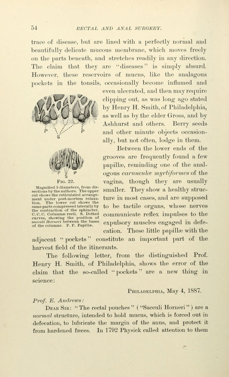 trace of disease, but are lined with a perfectly normal and beautifully delicate mucous membrane, which moves freely on the parts beneath, and stretches readily in any direction. The claim that they are diseases is simply absurd. However, these reservoirs of mucus, like the analagous pockets in the tonsils, occasionally become inflamed and even ulcerated, and then may require clipping out, as was long ago stated by Henry H. Smith, of Philadelphia, as well as by the elder Gross, and by Ashhurst and others. Berry seeds and other minute objects occasion- ally, but not often, lodge in them. Between the lower ends of the grooves are frequently found a few papillae, reminding one of the anal- ogous carunculcB myrtiformes of the vagina, though they are usually se^ro^n^'S'the^JrhorrxSJi Smaller. They show a healthy struc- cut shows the reticulated arrange- , • . ^ j ment under post-mortem relaxa- turC lU mOSt CaseS, and are SUppOSBQ tion. The lower cut shows the same parts compressedlaterally by to be tactile OrgaUS, WhOSC UerveS the contraction of the sphincter. _ i • i c. c. c. coiumnie recti, s. Dotted commuuicate rcflex impulscs to the curves, showing the position of J- sfwcuu Horneri between the bases exDulsorv muscles engaged iu defe- of the columns. P. P. Papulae. r J O o cation. These little papillae with the adjacent  pockets constitute an important part of the harvest field of the itinerants. The following letter, from the distinguished Prof. Henry H. Smith, of Philadelphia, shows the error of the claim that the so-called pockets are a new thing in science: PmLADELPHiA, May 4, 1887. Prof. E. Andrews: Dear Sir:  The rectal pouches  ( Sacculi Horneri ) are a normal structure, intended to hold mucus, which is forced out in defecation, to lubricate the margin of the anus, and protect it from hardened faeces. In 1792 Physick called attention to them