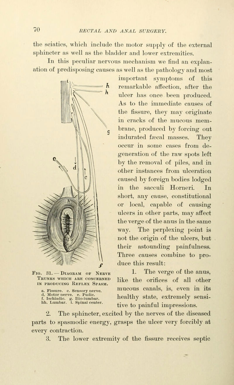 the sciatics, which include the motor supply of the external sphincter as well as the bladder and lower extremities. In this peculiar nervous mechanism we find an explan- ation of predisposing causes as well as the pathology and most important symptoms of this remarkable affection, after the ulcer has once been produced. As to the immediate causes of the fissure, they may originate in cracks of the mucous mem- brane, produced by forcing out indurated faecal masses. They occur in some cases from de- generation of the raw spots left by the removal of piles, and in other instances from ulceration caused by foreign bodies lodged in the sacculi Horneri. In short, any cause, constitutional or local, capable of causing ulcers in other parts, may affect the verge of the anus in the same way. The perplexing point is not the origin of the ulcers, but their astounding painfulness. Three causes combine to pro- duce this result: 1. The verge of the anus, like the orifices of all other mucous canals, is, even in its healthy state, extremely sensi- tive to painful impressions. 2. The sphincter, excited by the nerves of the diseased parts to spasmodic energy, grasps the ulcer very forcibly at every contraction. 3. The lower extremity of the fissure receives septic Fig. 31. — Diagram of Neeve Trunks which ake conoekned IN PEODuciNG Reflex Spasm. a. Fissure, c. Sensory nerve. d. Motor nerve, e. Pudic. f. Ischiadic, g. Ilio-lumbar. hh. Lumbar, i. Spinal center.