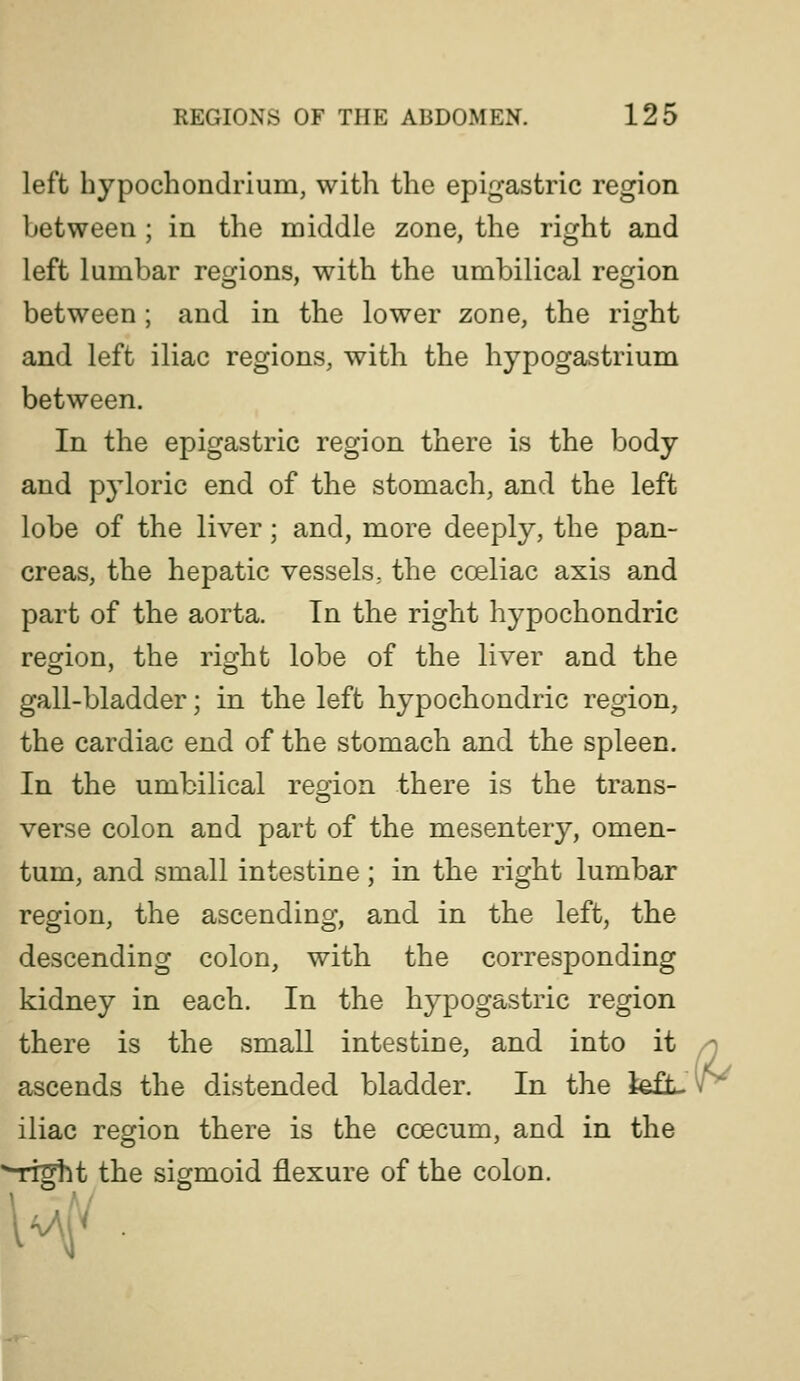 left hypochondrium, with the epigastric region between ; in the middle zone, the right and left lumbar regions, with the umbilical region between ; and in the lower zone, the right and left iliac regions, with the hypogastrium between. In the epigastric region there is the body and p3'loric end of the stomach, and the left lobe of the liver; and, more deeply, the pan- creas, the hepatic vessels, the coeliac axis and part of the aorta. Tn the right hypochondric region, the right lobe of the liver and the gall-bladder; in the left hypochondric region, the cardiac end of the stomach and the spleen. In the umbilical region there is the trans- verse colon and part of the mesentery, omen- tum, and small intestine; in the right lumbar region, the ascending, and in the left, the descending colon, with the corresponding kidney in each. In the hypogastric region there is the small intestine, and into it - ascends the distended bladder. In the left- v^ iliac region there is the coecum, and in the ^right the sigmoid flexure of the colon. H