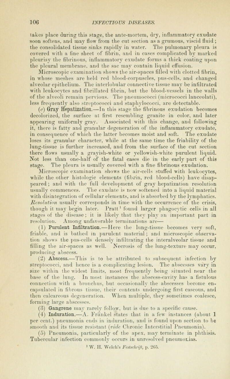 takes place during this stage, the ante-mortem, dry, inflammatory exudate soon softens, and may flow from the cut section as a grumous, viscid fluid; the consolidated tissue sinks rapidly in water. The pulmonary pleura is covered with a fine sheet of fibrin, and in cases complicated by marked pleurisy the fibrinous, inflammatory exudate forms a thick coating upon the pleural membrane, and the sac may contain liquid effusion. Microscopic examination shoAvs tlie air-spaces filled with clotted fibrin, in whose meshes are held red blood-corpuscles, pus-cells, and changed alveolar epithelium. The interlobular connective tissue may be infiltrated with leukocytes and fibrillated fibrin, but the blood-vessels in the walls of the alveoli remain pervious. The pneumococci (micrococci lanceolati), less frefjuently also streptococci and staphylococci, are detectable. (c) Gray Hepatization.—In this stage the fibrinous exudation becomes decolorized, the surface at first resembling granite in color, and later appearing uniformly gray. Associated with this change, and following it, there is fatty and granular degeneration of the inflammatory exudate, in consequence of which the latter becomes moist and soft. The exudate loses its granular character, while at the same time the friability of the lung-tissue is further increased, and from the surface of the cut section there flows usually a grayish-white or yellowish-white purulent liquid. Not less than one-half of the fatal cases die in the early part of this stage. The pleura is usually covered with a fine fibrinous exudation. Microscopic examination shows the air-cells stuffed with leukocytes, while the other histologic elements (fibrin, red blood-cells) have disap- peared ; and with the full development of gray hepatization resolution usually commences. The exudate is now softened into a liquid material with disintegration of cellular elements, and is absorbed by the lymphatics. Resolution usually corresponds in time with the occurrence of the crisis, though it may begin later. Pratt ^ found larger phagocytic cells in all stages of the disease ; it is likely that they play an important part in resolution. Among unfavorable terminations are— (1) Purulent Infiltration.—Here tlie lung-tissue becomes very soft, friable, and is bathed m purulent material; and microscopic observa- tion shows the pus-cells densely infiltrating the interalveolar tissue and filling the air-spaces as well. Necrosis of the lung-texture may occur, producing abscess. (2) Abscess.—This is to be attributed to subsequent infection by streptococci, and hence is a complicating lesion. The abscesses vary in size within the widest limits, most frequently being situated near the base of the lung. In most instances the abscess-cavity has a fistulous connection with a bronchus, but occasionally the abscesses become en- capsulated in fibrous tissue, their contents undergoing first caseous, and then calcareous degeneration. When multiple, they sometimes coalesce, forming large abscesses. (3) Gangrene may rarely follow, but is due to a specific cause. (4) Induration.—A. Friinkel states that in a few instances (about 1 per cent.) pneumonia ends in induration, and is found upon section to be smooth and its tissue resistant {inde Chronic Interstitial Pneumonia). (5) Pneumonia, particularly of the apex, may terminate in phthisis. Tubercular infection commonly occurs in unresolved pneumonias. ' W. H. Welch's Festschrift, p. 265.