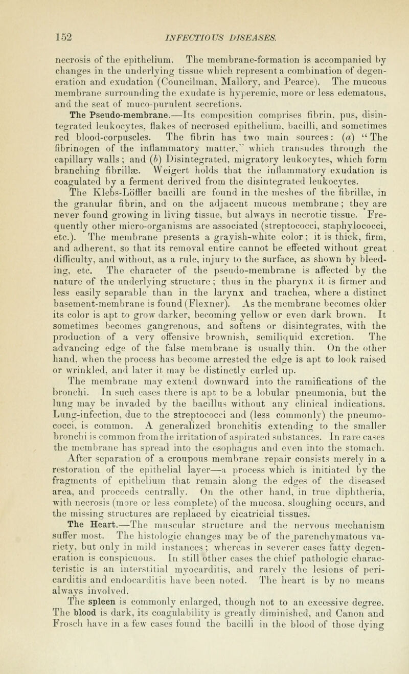 necrosis of the epithelixim. The membrane-formation is accompanied by changes in the underlying tissue which represent a combination of degen- eration and exudation (Councilman, Mallory, and Pearce). The mucous membrane surrounding the exudate is hyperemic, more or less edematous, and the seat of muco-purulent secretions. The Pseudo-membrane.—Its composition comprises fibrin, pus, disin- tegrated leukocytes, flakes of necrosed epithelium, bacilli, and sometimes red blood-corpuscles. The fibrin has two main sources: (a)  The fibrinogen of the inflammatory matter, which transudes through the capillary walls ; and (6) Disintegrated, migratory leukocytes, which form branching fibrillae. Weigert holds that the inflammatory exudation is coagulated by a ferment derived from the disintegrated leukocytes. The Klebs-Loffler bacilli are found in the meshes of the fibrillaj, in the granular fibrin, and on the adjacent mucous membrane; they are never found growing in living tissue, but always in necrotic tissue. Fre- quently other micro-organisms are associated (streptococci, staphylococci, etc.). The membrane presents a grayish-white color; it is thick, firm, and adherent, so that its removal entire cannot be efiected without great difficulty, and without, as a rule, injury to the surface, as shown by bleed- ing, etc. The character of the pseudo-membrane is affected by the nature of the underlying structure ; thus in the pharynx it is firmer and less easily separable than in the larynx and trachea, where a distinct basement-membrane is found (Flexner). As the membrane becomes older its color is apt to grow darker, becoming yellow or even dark brown. It sometimes becomes gangrenous, and softens or disintegrates, with the production of a very offensive brownish, semiliquid excretion. The advancing edge of the false membrane is usually thin. On the other hand, when the process has become arrested the edge is apt to look raised or wrinkled, and later it may be distinctly curled up. The membrane may extend downward into the ramifications of the bronchi. In such cases there is apt to be a lobular pneumonia, but the lung may be invaded by the bacillus without any clinical indications. Lung-infection, due to the streptococci and (less commonly) the pneumo- cocci, is common. A generalized bronchitis extending to the smaller bronchi is common from the irritation of aspirated substances. In rare cases the membrane has spread into the esophagus and even into the stomach. After separation of a croupous membrane repair consists merely in a restoration of the epithelial layer—a process which is initiated by the fragments of epithelium that remain along the edges of the diseased area, and proceeds centrally. On the other hand, in true diphtheria, with necrosis (more or less complete) of the mucosa, sloughing occurs, and the missing structures are replaced by cicatricial tissues. The Heart.—The muscular structure and the nervous mechanism suffer most. The histologic changes may be of the,parenchymatous va- riety, but only in mild instances; whereas in severer cases fatty degen- eration is conspicuous. In still other cases the chief pathologic charac- teristic is an interstitial myocarditis, and rarely the lesions of peri- carditis and endocarditis have been noted. The heart is by no means always involved. The spleen is commonly enlarged, though not to an excessive degree. The blood is dark, its coagulability is greatly diminished, and Canon and Froscli have in a few cases found the bacilli in the blood of those dying