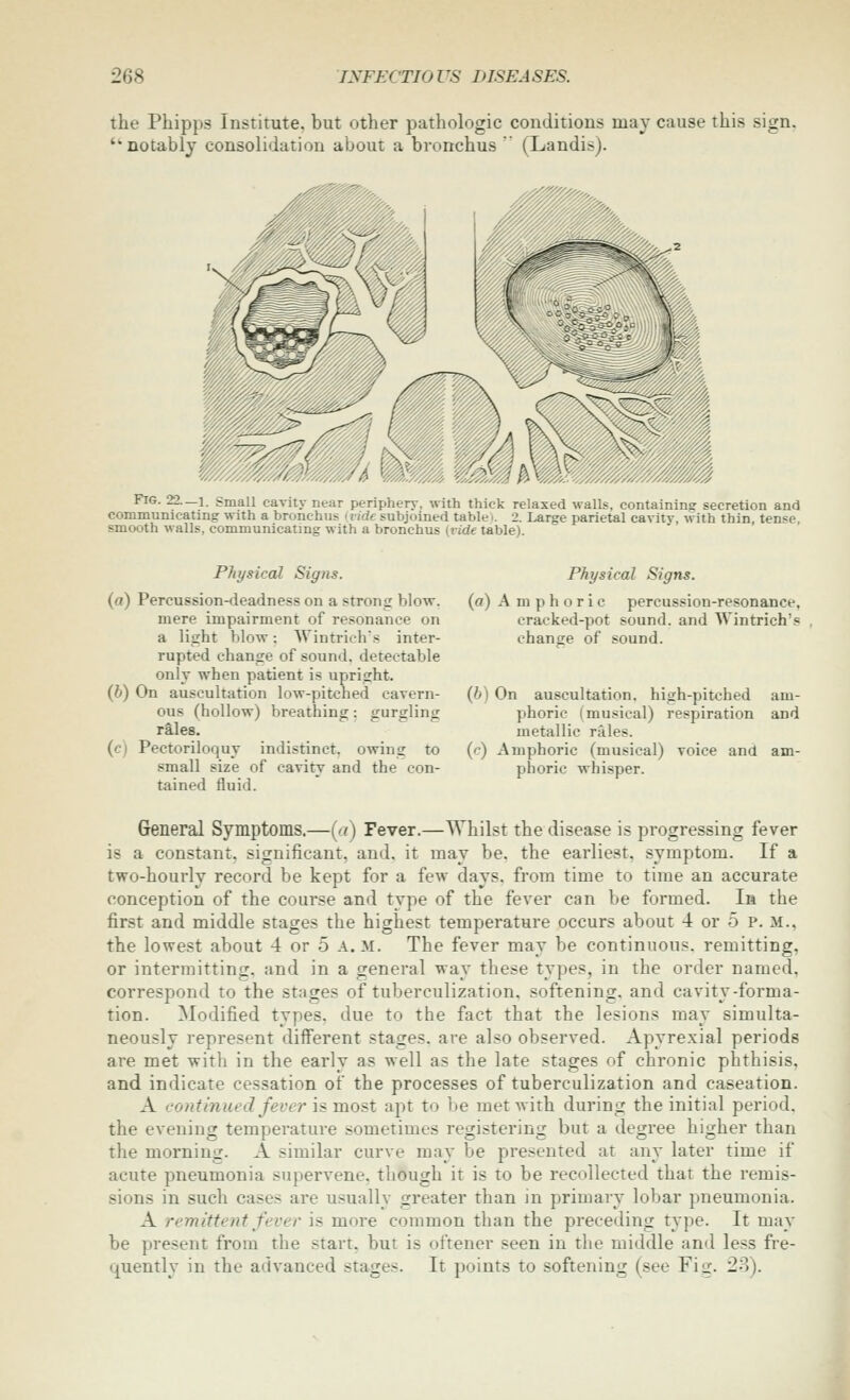 the Phipps Institute, but other pathologic conditions may cause this sign, 'notably consolidation about a bronchus  (Landis). Fig. 22.—1. SmaU cavity near periphery, with thick relaxed walls, containing secretion and communicating with a bronchus (ride subjoined tablei. 2. Large parietal cavitv, with thin, tense, smooth walls, communicating with a bronchus (vide table). Physical Signs. («) Percussion-deadness on a strong blow, mere impairment of resonance on a light blow: Wintrieh's inter- rupted change of sound, detectable only when patient is upright. (6) On auscultation low-pitched cavern- ous (hollow) breathing: gurgling rales. (c) Pectoriloquy indistinct, owing to small size of cavity and the con- tained fluid. Physical Signs. (a) Amphoric percussion-resonance, cracked-pot sound, and Wintrich's change of sound. (b) On auscultation, high-pitched am- phoric (musical) respiration and metallic rales. (c) Amphoric (musical) voice and am- phoric whisper. General Symptoms.—(a) Fever.—Whilst the disease is progressing fever is a constant, significant, and, it may be. the earliest, symptom. If a two-hourly record be kept for a few days, from time to time an accurate conception of the course and type of the fever can be formed. In the first and middle stages the highest temperature occurs about 4 or 5 p. m., the lowest about 4 or 5 a. m. The fever may be continuous, remitting, or intermitting, and in a general way these types, in the order named, correspond to the stacres of tuberculization, softenino:. and cavitv-forma- tion. Modified types, due to the fact that the lesions may simulta- neously represent different stages, are also observed. Apyrexial periods are met with in the early as well as the late stages of chronic phthisis, and indicate cessation of the processes of tuberculization and caseation. A continued feve?' is most apt to l)e met with during the initial period, the evening temperature sometimes registering but a degree higher than the morning. A similar curve may be presented at any later time if acute pneumonia supervene, though it is to be recollected that the remis- sions in such cases are usually greater than in primary lobar pneumonia. A remittent fever is more common than the preceding type. It may be present from the start, but is oftener seen in the middle and less fre- c^uently in the advanced stages. It points to softening (see Fig. 23).