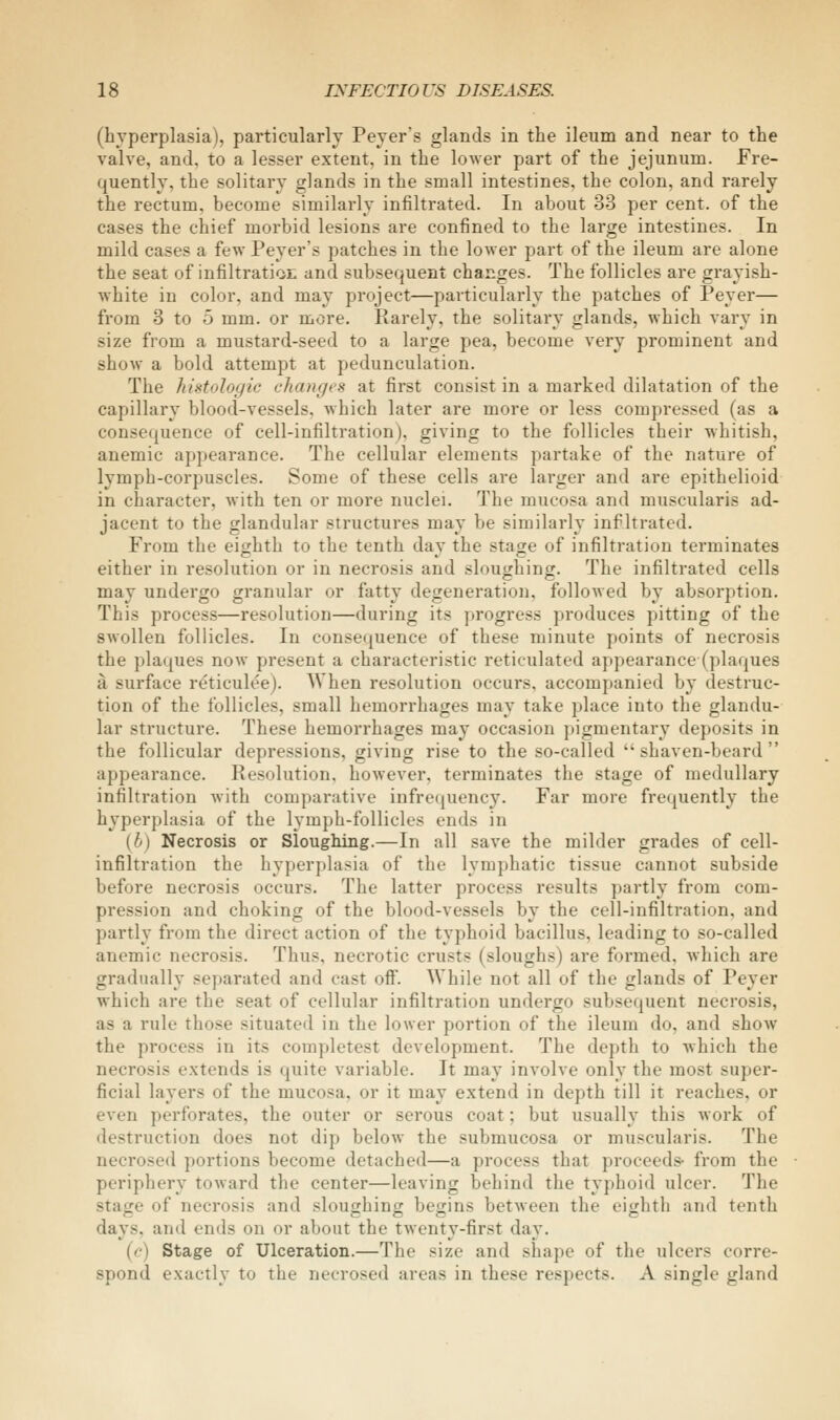 (hyperplasia), particularly Peyer's glands in the ileum and near to the valve, and, to a lesser extent, in the lower part of the jejunum. Fre- quently, the solitary glands in the small intestines, the colon, and rarely the rectum, become similarly infiltrated. In about 33 per cent, of the cases the chief morbid lesions are confined to the large intestines. In mild cases a few Peyer's patches in the lower part of the ileum are alone the seat of infiltratioE and subsequent changes. The follicles are grayish- white in color, and may project—particularly the patches of Peyer— from 3 to 5 mm. or more. Rarely, the solitary glands, which vary in size from a mustard-seed to a large pea, become very prominent and show a bold attempt at pedunculation. The histologic changes at first consist in a marked dilatation of the capillary blood-vessels, which later are more or less compressed (as a consequence of cell-infiltration), giving to the follicles their whitish, anemic appearance. The cellular elements partake of the nature of lymph-corpuscles. Some of these cells are larger and are epithelioid in character, with ten or more nuclei. The mucosa and muscularis ad- jacent to the glandular structures may be similarly infiltrated. From the eighth to the tenth day the stage of infiltration terminates either in resolution or in necrosis and sloughing. The infiltrated cells may undergo granular or fatty degeneration, followed by absorption. This process—resolution—during its progress produces pitting of the swollen follicles. In consequence of these minute points of necrosis the plaques now present a characteristic reticulated appearance (plaques a surface reticulee). AVhen resolution occurs, accomj»anied by destruc- tion of the follicles, small hemorrhages may take place into the glandu- lar structure. These hemorrhages may occasion pigmentary deposits in the follicular depressions, giving rise to the so-called shaven-beard appearance. Resolution, however, terminates the stage of medullary infiltration with comparative infrequency. Far more frequently the hyperplasia of the lymph-follicles ends in {h) Necrosis or Sloughing.—In all save the milder grades of cell- infiltration the hyperplasia of the lymphatic tissue cannot subside before necrosis occurs. The latter process results partly from com- pression and choking of the blood-vessels by the cell-infiltration, and partly from the direct action of the typhoid bacillus, leading to so-called anemic necrosis. Thus, necrotic crusts (sloughs) are formed. Avhich are gradually separated and cast off. While not all of the glands of Peyer which are the seat of cellular infiltration undergo subsequent necrosis, as a rule those situated in the lower portion of the ileum do, and show the process in its completest development. The depth to which the necrosis extends is quite variable. It may involve only the most super- ficial layers of the mucosa, or it may extend in depth till it reaches, or even perforates, the outer or serous coat; but usually this work of destruction does not dip below the submucosa or muscularis. The necrosed portions become detached—a process that proceeds- from the periphery toward the center—leaving behind the typhoid ulcer. The stage of necrosis and sloughing begins between the eighth and tenth days, and ends on or about the twenty-first day. {c) Stage of Ulceration.—The size and shape of the ulcers corre- spond exactly to the necrosed areas in these respects. A single gland