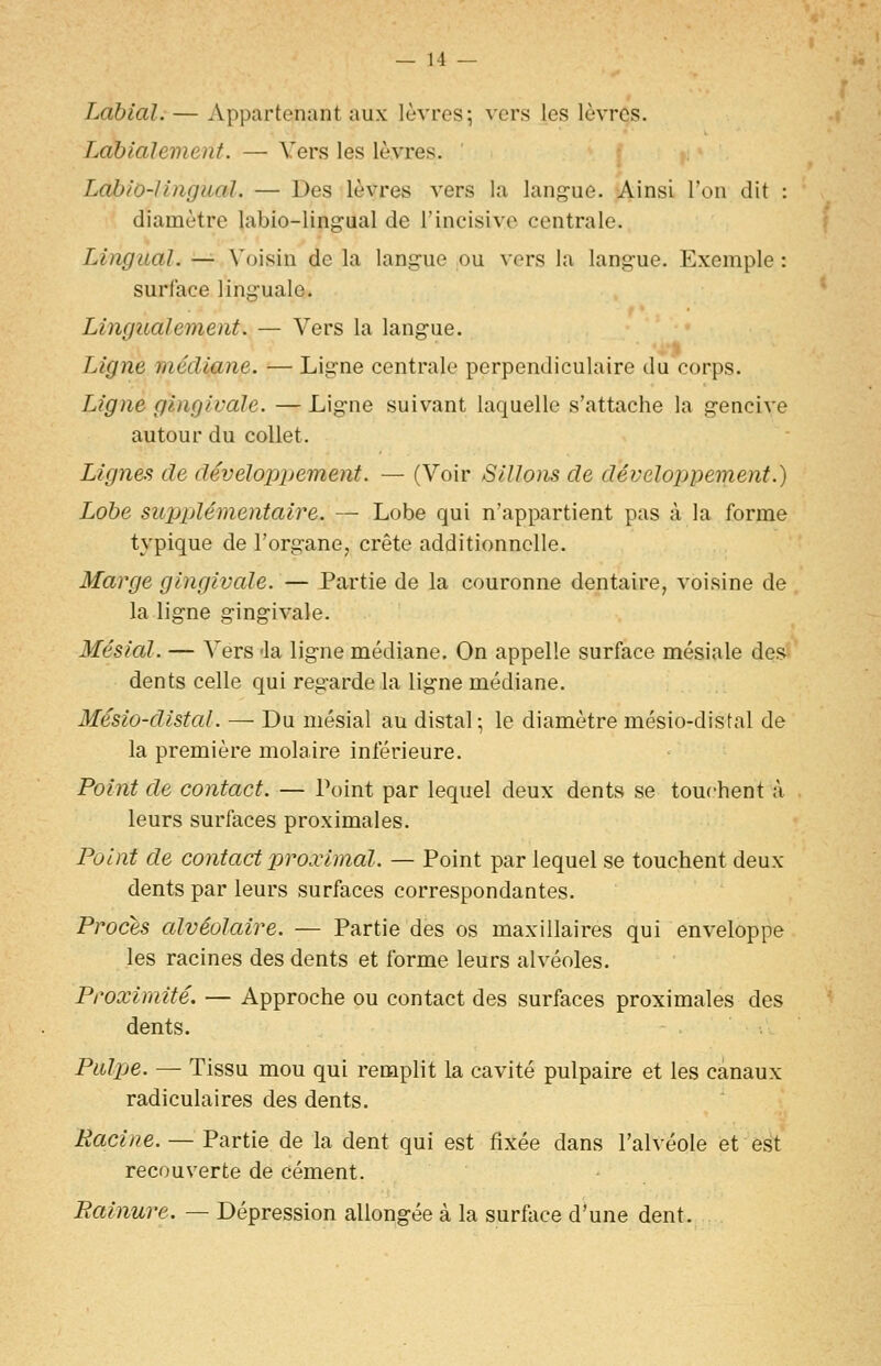 Labial. — Appartenant aux lèvres; vers les lèvres. Làbialement. — Vers les lèvres. Labio-lingiial. — Des lèvres vers la langue. Ainsi l'on dit : diamètre labio-lingaal de l'incisive centrale. Lingual. — Voisin de la langue ou vers la langue. Exemple : surface linguale. Lingualement. — Vers la langue. Ligne médiane. — Ligne centrale perpendiculaire du corps. Ligne gingivale. — Ligne suivant laquelle s'attache la gencive autour du collet. Lignes de développement. — (Voir Sillons de dévelojipemenf.) Lobe supplémentaire. — Lobe qui n'appartient pas à la forme typique de l'organe, crête additionnelle. Marge gingivale.— Partie de la couronne dentaire, voisine de la ligne gingivale. Mésial. — Vers «la ligne médiane. On appelle surface mésiale des dents celle qui regarde la ligne médiane. Mésio-distal. — Du mésial au distal; le diamètre mésio-distal de la première molaire inférieure. Point de contact. — Point par lequel deux dents se touchent à leurs surfaces proximales. Point de contact proximal. — Point par lequel se touchent deux dents par leurs surfaces correspondantes. Procès alvéolaire. — Partie des os maxillaires qui enveloppe les racines des dents et forme leurs alvéoles. Proximité. — Approche ou contact des surfaces proximales des dents. Palpe. — Tissu mou qui remplit la cavité pulpaire et les canaux radiculaires des dents. Racine. — Partie de la dent qui est fixée dans l'alvéole et est recouverte de cément.