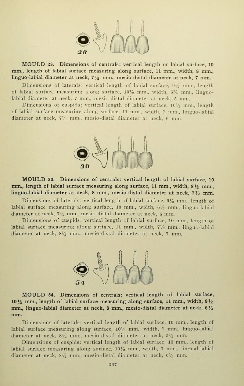 mm., length of labial surface measuring along surface, 11 mm., width, 8 mm., linguo-labial diameter at neck, 71.2 mm., mesio-distal diameter at neck, 7 mm. Dimensions of laterals: vertical length of labial surface, O'/o mm., length of labial surface measuring along surface, lOVs mm., width, 6^4 mm., linguo- labial diameter at neck, 7 mm., mesio-distal diameter at neck, 5 mm. Dimensions of cuspids: vertical length of labial surface, 10y2 mm., length of labial surface measuring along surface, 11 mm., width, 7 mm., linguo-labial diameter at neck, 7V2 mm., mesio-distal diameter at neck, 6 mm. MOULD 20. Dimensions of centrals: vertical length of labial surface, 10 mm., length of labial surface measuring along surface, 11 mm., width, S}^ mm., linguo-labial diameter at neck, 8 mm., mesio-distal diameter at neck, 7% mm. Dimensions of laterals: vertical length of labial surface, QVs mm., length of labial surface measuring along surface, 10 mm., width, eVa mm., linguo-labial diameter at neck, iVs mm., mesio-distal diameter at neck, 6 mm. Dimensions of cuspids: vertical length of labial surface, 10 mm., length of labial surface measuring along surface, 11 mm., width, 7^^ mm., linguo-labial diameter at neck, SVs mm., mesio-distal diameter at neck, 7 mm. MOULD 54. Dimensions of centrals: vertical length of labial surface, 10J^ mm., length of labial surface measuring along surface, 11 mm., width, S% mm., Knguo-labial diameter at neck, 8 mm., mesio-distal diameter at neck, 6% mm. Dimensions of laterals: vertical length of labial surface, 10 mm., length of labial surface measuring along surface, lOVg mm., width, 7 mm., linguo-labial diameter at neck, 8% mm., mesio-distal diameter at neck, 5M3 nim. Dimensions of cuspids: vertical length of labial surface, 10 mm., length of labial surface measuring along surface, 10% mm., width, 7 mm., lingual-labial diameter at neck, S'/i mm., mesio-distal diameter at neck, dVa mm.