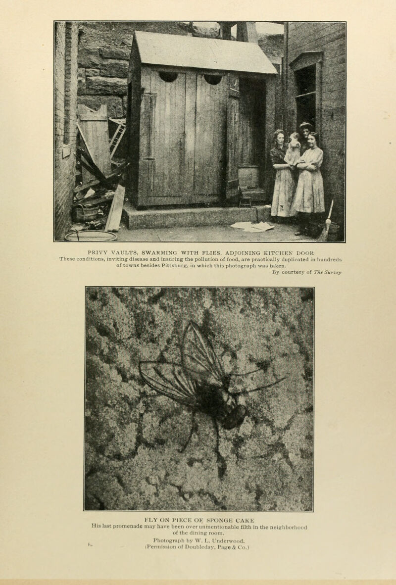 PRIVY VAULTS, SWARMING WITH FLIES, ADJOINING KITCHEN DOOR These conditions, inviting disease and insuring the pollution of food, are practically duplicated in hundreds of towns besides Pittsburg, in which this photograph was taken. By courtesy of The Surziy ii.Y ON I'iKCK OK si'o\(;k cam-: Ills lasl proriicniiUc may have been iivor uiiniciiliiinablc lillb in tin of the (lininfi: room, PhotoKraph by W. I,. I'nderwdiKl. iPerinlssioii of Douhlcday, PateA Co.)