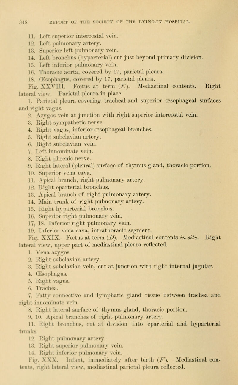 11. Left su}>erior intercostal vein. 12. Left pulinonarv artorv. 13. Sui>erior left piilmonarv vein. 14. Left bronchus (^liyparterial) cut jnst beyond primary division. 15. Left inferior pulmonary vein. 16. Thoracic aorta, covered by 17, parietal })leura. IS. (Eso])hagus, covered by 17. parietal pleura. Fi-. XXVIIL Fa^tus at term {E). Mediastinal contents. Right lateral view. Parietal pleura in place. I. Parietal pleura covering tracheal and superior oesophageal surfaces and right v;igus. '2. Azvgos vein at junction Avith right superior intercostal vein. 8. Right sympathetic nerve. 4. Right vagus, inferior oesophageal branches. 5. Right subclavian artery. «;. Right subchivian vein. 7. Left innominate vein. 8. Right ])hrenic nerve. 9. Right lateral (pleural) surface of thymus gland, thoracic portion. 10. Superior vena cava. II. A]>ical branch, right pulmonary artery. 12. Right eparterial bronchus. 13. Apical branch of right pubnonary artery. 14. Main trunk of right ])ulmonary artery. 15. Right hyparterial bronchus. 16. Su])erior right pulmonary vein. 17. IS. Inferior right pulmonary vein. 19. Inferior vena cava, intrathoracic segment. Fig. XXIX. Foetus at term (J)). Mediastinal contents m situ. Right lateral view, upper part of mediastinal pleura reflected. 1. Vena azygos. 2. Riffht subclavian arterv. 3. Right subclavian vein, cut at junction with right internal jugular. 4. (T]sophagus. 5. Right vagus. 6. Trachea. 7. Fatty connective and lyiii])1iati(' gland tissue between trachea and right innominate vein. 8. Right lateral surface of thymus gland, thoracic portion, f'. lo. A|»ir;d bi-unches of right pulmonary artery. 11. liiglit bronchus, cut at division into eparterial and hyparterial trunks. 12. Right ])ulniOnarv artery. 13. Right superioi j)ulmonary vein. 14. Rifrht inferior pulmonary vein. Fig. X.XX. Infant, inimediately after birth (/•'). Mediastinal con- tents, riglit lateral view, mediastinal parietal ])h'ura rcllected.