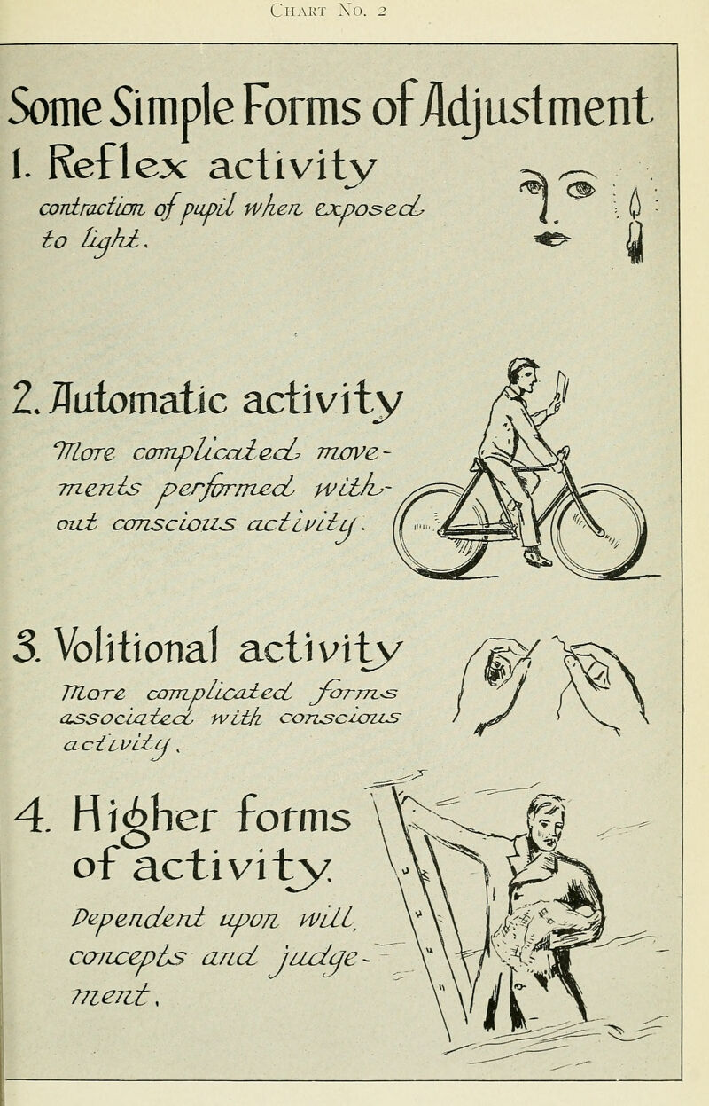 Some Simple Forms of /Idjustment I. Reflex activity contraction of pupil when, exposed, to tiqh£. 2. /Futomatic activity TEore cortiplicodecL move- ments performed wlt/i^ ou£ ccmscioiLS ajciLviiu'. 3. Volitional activity TJIotz cairipLicaiecL J-otttl^s associated with, cotlscuxlls A. Higher forms of activity Dependent upon wilL concepts and judge TTieni,
