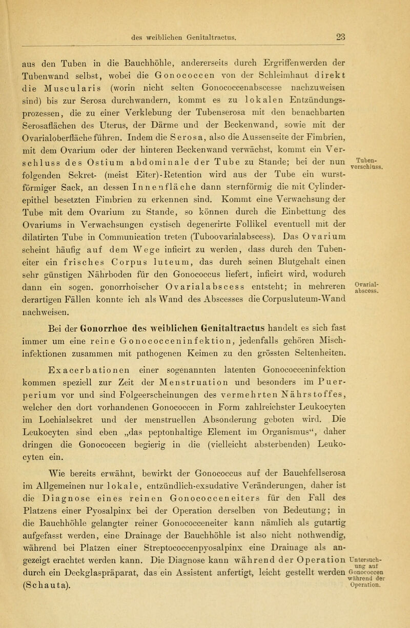 aus den Tuben in die Bauchhöhle, andererseits durch Ergriffen werden der Tubenwand selbst, wobei die Gonococcen von der Schleimhaut direkt die Muscularis (worin nicht selten Gonococcenabscesse nachzuweisen sind) bis zur Serosa durchwandern, kommt es zu lokalen Entzündungs- prozessen, die zu einer Verklebung der Tubenserosa mit den benachbarten Serosaflächen des Uterus, der Därme und der Beckenwand, sowie mit der Ovarialoberflächeführen. Indem die Serosa, also die Aussenseite der Fimbrien, mit dem Ovarium oder der hinteren Beckenwand verwächst, kommt ein Ver- schluss des Ostium abdominale der Tube zu Stande; bei der nun ^J^g^®^;^ folgenden Sekret- (meist Eiter) - Retention wird aus der Tube ein wurst- förmiger Sack, an dessen Inn euflache dann sternförmig die mit Cylinder- epithel besetzten Fimbrien zu erkennen sind. Kommt eine Verwachsung der Tube mit dem Ovarium zu Stande, so können durch die Einbettung des Ovariums in Verwachsungen cystisch degenerirte Follikel eventuell mit der dilatirten Tube in Communication treten (Tuboovarialabscess). Das Ovarium scheint häufig auf dem Wege inficirt zu werden, dass durch den Tuben- eiter ein frisches Corpus luteum, das durch seinen Blutgehalt einen sehr günstigen Nährboden für den Gonococcus liefert, inficirt wird, wodurch dann ein sogen, gonorrhoischer Ovarialabscess entsteht; in mehreren ^bs^Jg^g' derartigen Fällen konnte ich als Wand des Abscesses die Corpusluteum-Wand nachweisen. Bei der Gonorrhoe des weiblichen Genitaltractus handelt es sich fast immer um eine reine Gonococceninfektion, jedenfalls gehören Misch- infektionen zusammen mit pathogenen Keimen zu den grössten Seltenheiten. Exacerbationen einer sogenannten latenten Gonococceninfektion kommen speziell zur Zeit der Menstruation und besonders im Puer- perium vor und sind Folgeerscheinungen des vermehrten ISTährs toffes, welcher den dort vorhandenen Gonococcen in Form zahlreichster Leukocyten im Lochialsekret und der menstruellen Absonderung geboten wird. Die Leukocyten sind eben „das peptonhaltige Element im Organismus, daher dringen die Gonococcen begierig in die (vielleicht absterbenden) Leuko- cyten ein. Wie bereits erwähnt, bewirkt der Gonococcus auf der Bauchfellserosa im Allgemeinen nur lokale, entzündlich-exsudative Veränderungen, daher ist die Diagnose eines reinen Gonococceneiters für den Fall des Platzens einer Pyosalpinx bei der Operation derselben von Bedeutung; iii die Bauchhöhle gelangter reiner Gonococceneiter kann nämlich als gutartig aufgefasst werden, eine Drainage der Bauchhöhle ist also nicht nothwendig, während bei Platzen einer Streptococcenpyosalpinx eine Drainage als an- gezeigt erachtet werden kann. Die Diagnose kann während der Operation Untersuch- . . . . . f ung auf durch ein Deckglaspräparat, das ein Assistent anfertigt, leicht gestellt werden Gonococcen (S C h a U t a). Operation.