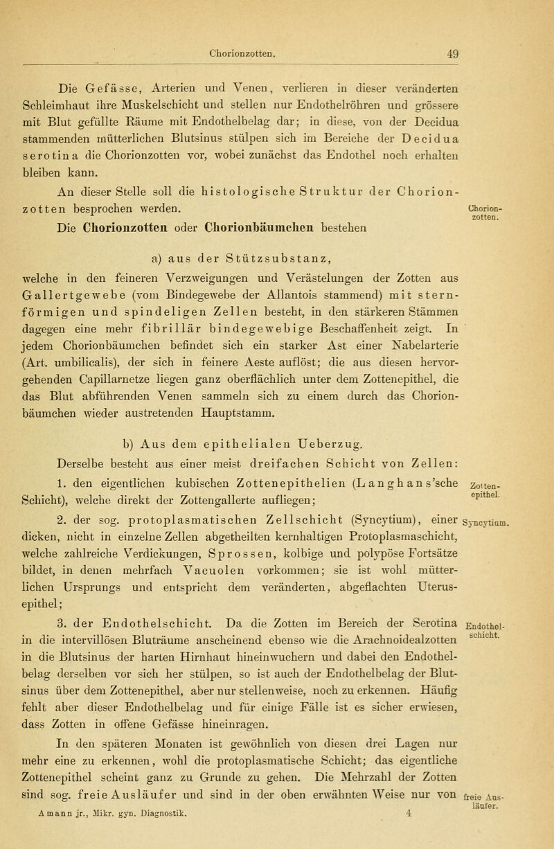 Die Gefässe, i\.rteriea und Venen, verlieren in dieser veränderten Schleimhaut ihre Muskelschicht und stellen nur Endothelröhren und grössere mit Blut gefüllte Räume mit Endothelbelag dar; in diese, von der Decidua stammenden mütterlichen Blutsinus stülpen sich im Bereiche der Decidua serotina die Chorionzotten vor, wobei zunächst das Endothel noch erhalten bleiben kann. An dieser Stelle soll die histologische Struktur der Chorion- zotten besprochen werden. Uhorion- zotten. Die Chorionzotten oder Cliorionbäiimclien bestehen a) aus der Stützsubstanz, welche in den feineren Verzweigungen und Verästelungen der Zotten aus Gallertgewebe (vom Bindegewebe der Allantois stammend) mit stern- förmigen und spindeligen Zellen besteht, in den stärkeren Stämmen dagegen eine mehr fibrillär bindegewebige Beschaffenheit zeigt. In jedem Chorion bäumchen befindet sich ein starker Ast einer Nabelarterie (Art. umbilicalis), der sich in feinere Aeste auflöst; die aus diesen hervor- gehenden Capillarnetze liegen ganz oberflächlich unter dem Zottenepithel, die das Blut abführenden Venen sammeln sich zu einem durch das Chorion- bäumchen wieder austretenden Hauptstamm. b) Aus dem epithelialen Ueberzug. Derselbe besteht aus einer meist dreifachen Schicht von Zellen: 1. den eigentlichen kubischen Zottenepithelien (L an gh an s'sche zoiten- Schicht), welche direkt der Zottengallerte aufliegen; ^^^ 2. der sog. protoplasmatischen Zellschicht (Syncytium), einer syncytium dicken, nicht in einzelne Zellen abgetheilten kernhaltigen Protoplasmaschicht, welche zahlreiche Verdickungen, Sprossen, kolbige und polypöse Fortsätze bildet, in denen mehrfach Vacuolen vorkommen; sie ist wohl mütter- lichen Ursprungs und entspricht dem veränderten, abgeflachten Uterus- epithel; 3. der Endothelschicht. Da die Zotten im Bereich der Serotina Endothel- in die intervillösen Bluträume anscheinend ebenso wie die Arachnoidealzotten ^'^ ^ ' in die Blutsinus der harten Hirnhaut hineinwuchern und dabei den Endothel- belag derselben vor sich her stülpen, so ist auch der Endothelbelag der Blut- sinus über dem Zottenepithel, aber nur stellenweise, noch zu erkennen. Häufig fehlt aber dieser Endothelbelag und für einige Fälle ist es sicher erwiesen, dass Zotten in offene Gefässe hineinragen. In den späteren Monaten ist gewöhnlich von diesen drei Lagen nur mehr eine zu erkennen, wohl die protoplasmatische Schicht; das eigentliche Zottenepithel scheint ganz zu Grunde zu gehen. Die Mehrzahl der Zotten sind sog. freie Ausläufer und sind in der oben erwähnten Weise nur von ü-eie Aus- läufer. Amann jr., ilikr. gyn. Diagnostik. 4