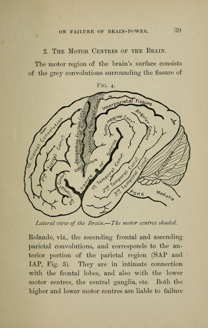 2. The Motor Centres of the Brain. The motor region of the brain's surface consists of the grey convolutions surrounding the fissure of Fig. 4. Lateral view of the Brain.— The motor centres shaded. Rolando, viz., the ascending frontal and ascending parietal convolutions, and corresponds to the an- terior portion of the parietal region (SAP and IAP, Fig. 3). They are in intimate connection with the frontal lobes, and also with the lower motor centres, the central ganglia, etc. Both the higher and lower motor centres are liable to failure