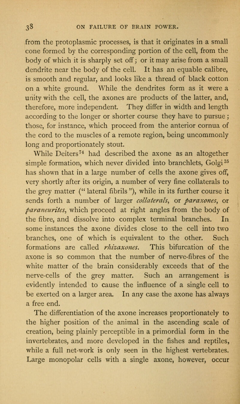 from the protoplasmic processes, is that it originates in a small cone formed by the corresponding portion of the cell, from the body of which it is sharply set off; or it may arise from a small dendrite near the body of the cell. It has an equable calibre, is smooth and regular, and looks like a thread of black cotton on a white ground. While the dendrites form as it were a unity with the cell, the axones are products of the latter, and, therefore, more independent. They differ in width and length according to the longer or shorter course they have to pursue; those, for instance, which proceed from the anterior cornua of the cord to the muscles of a remote region, being uncommonly long and proportionately stout. While Deiters^'* had described the ax one as an altogether simple formation, which never divided into branchlets, Golgi ^^ has shown that in a large number of cells the axone gives off, very shortly after its origin, a number of very fine collaterals to the grey matter ( lateral fibrils ), while in its further course it sends forth a number of larger collaterals^ or paraxones, or para7ieurites, which proceed at right angles from the body of the fibre, and dissolve into complex terminal branches. In some instances the axone divides close to the cell into two branches, one of which is equivalent to the other. Such formations are called rhizaxoiies. This bifurcation of the axone is so common that the number of nerve-fibres of the white matter of the brain considerably exceeds that of the nerve-cells of the grey matter. Such an arrangement is evidently intended to cause the influence of a single cell to be exerted on a larger area. In any case the axone has always a free end. The differentiation of the axone increases proportionately to the higher position of the animal in the ascending scale of creation, being plainly perceptible in a primordial form in the invertebrates, and more developed in the fishes and reptiles, while a full net-work is only seen in the highest vertebrates. Large monopolar cells with a single axone, however, occur