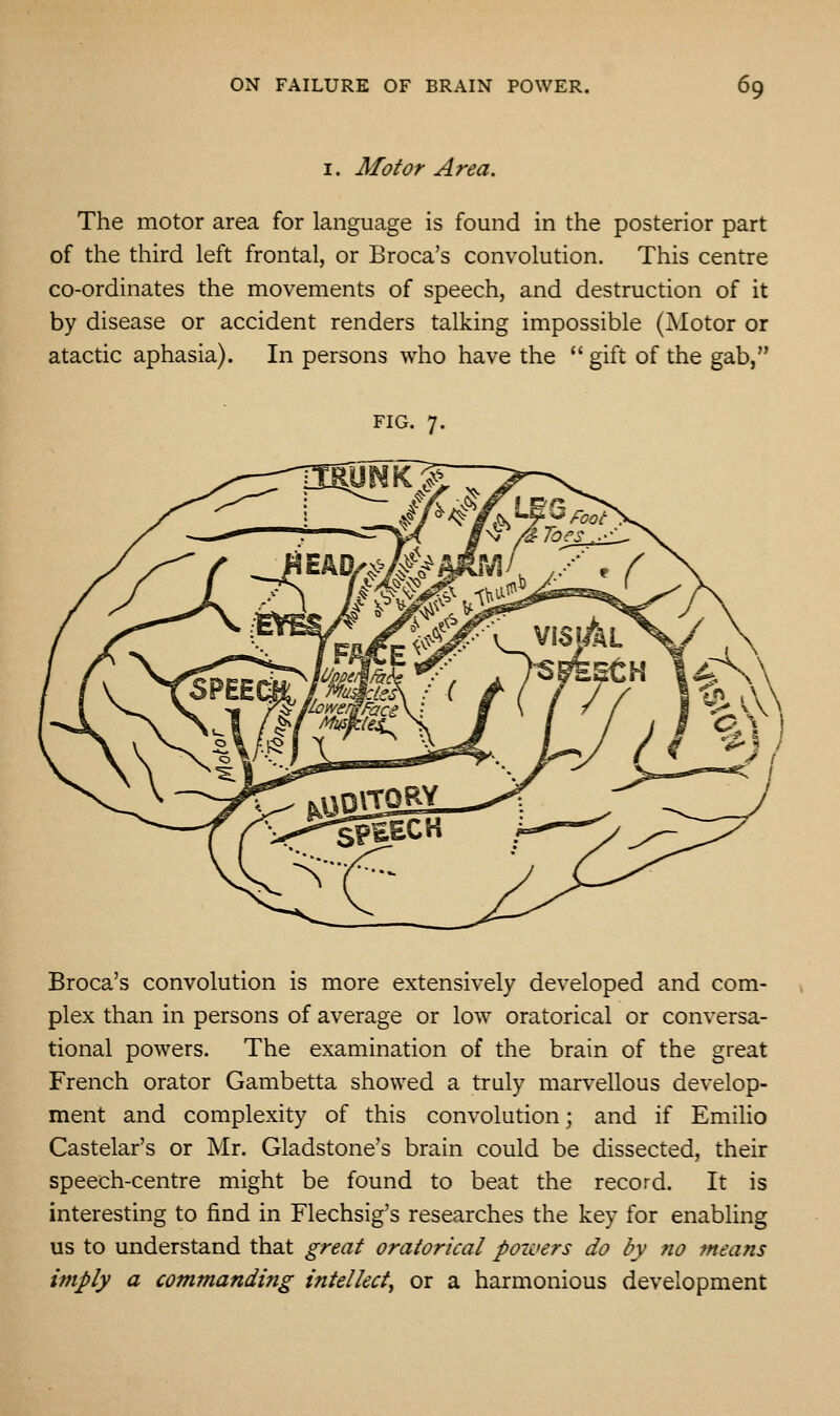 I. Motor Area. The motor area for language is found in the posterior part of the third left frontal, or Broca's convolution. This centre co-ordinates the movements of speech, and destruction of it by disease or accident renders talking impossible (Motor or atactic aphasia). In persons who have the  gift of the gab, FIG. 7. Broca's convolution is more extensively developed and com- plex than in persons of average or low oratorical or conversa- tional powers. The examination of the brain of the great French orator Gambetta showed a truly marvellous develop- ment and complexity of this convolution; and if Emilio Castelar's or Mr. Gladstone's brain could be dissected, their speech-centre might be found to beat the record. It is interesting to find in Flechsig's researches the key for enabling us to understand that great oratorical powers do by no means imply a commanding intellect^ or a harmonious development