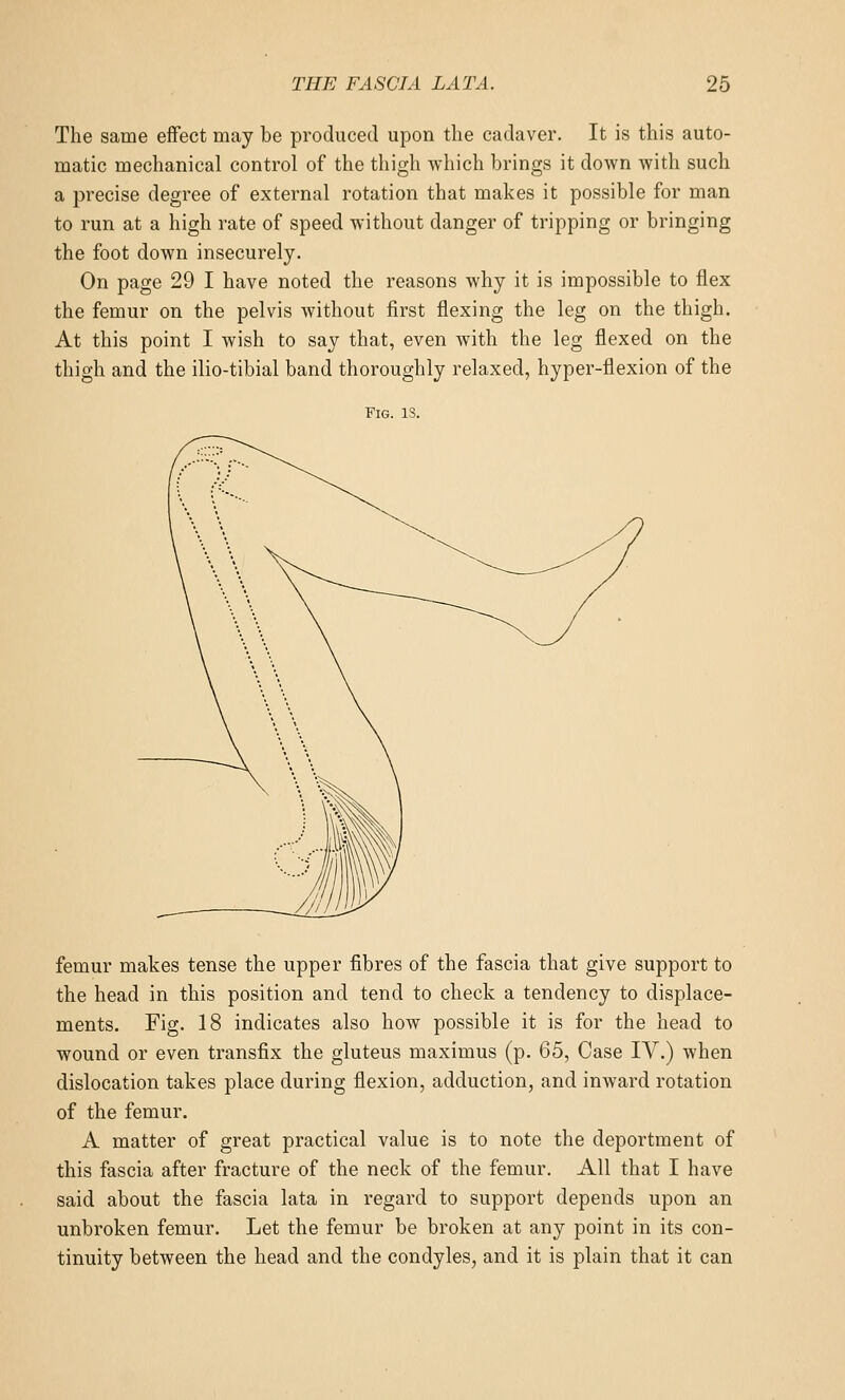 The same effect may be produced upon the cadaver. It is this auto- matic mechanical control of the thigh which brings it down with such a precise degree of external rotation that makes it possible for man to run at a high rate of speed without danger of tripping or bringing the foot down insecurely. On page 29 I have noted the reasons why it is impossible to flex the femur on the pelvis without first flexing the leg on the thigh. At this point I wish to say that, even with the leg flexed on the thigh and the ilio-tibial band thoroughly relaxed, hyper-flexion of the Fig. is. femur makes tense the upper fibres of the fascia that give support to the head in this position and tend to check a tendency to displace- ments. Fig. 18 indicates also how possible it is for the head to wound or even transfix the gluteus maximus (p. 65, Case IV.) when dislocation takes place during flexion, adduction, and inward rotation of the femur. A matter of great practical value is to note the deportment of this fascia after fracture of the neck of the femur. All that I have said about the fascia lata in regard to support depends upon an unbroken femur. Let the femur be broken at any point in its con- tinuity between the head and the condyles, and it is plain that it can