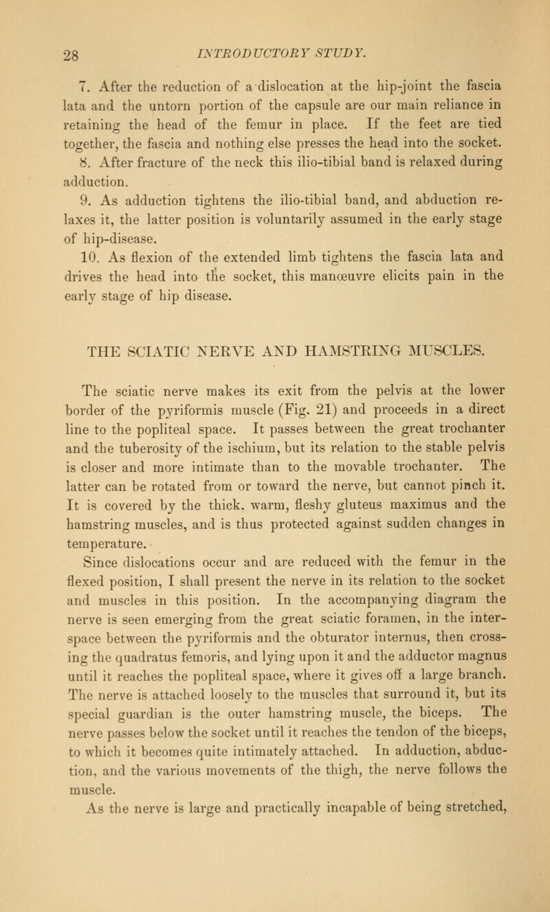 7. After the reduction of a dislocation at the hip-joint the fascia lata and the untorn portion of the capsule are our main reliance in retaining the head of the femur in place. If the feet are tied together, the fascia and nothing else presses the head into the socket. 8. After fracture of the neck this ilio-tibial band is relaxed during adduction. 9. As adduction tightens the ilio-tibial band, and abduction re- laxes it, the latter position is voluntarily assumed in the early stage of hip-disease. 10. As flexion of the extended limb tightens the fascia lata and drives the head into the socket, this manoeuvre elicits pain in the early stage of hip disease. THE SCIATIC NERVE AND HAMSTRING MUSCLES. The sciatic nerve makes its exit from the pelvis at the lower border of the pyriformis muscle (Fig. 21) and proceeds in a direct line to the popliteal space. It passes between the great trochanter and the tuberosity of the ischium, but its relation to the stable pelvis is closer and more intimate than to the movable trochanter. The latter can be rotated from or toward the nerve, but cannot pinch it. It is covered by the thick, warm, fleshy gluteus maximus and the hamstring muscles, and is thus protected against sudden changes in temperature. Since dislocations occur and are reduced with the femur in the flexed position, I shall present the nerve in its relation to the socket and muscles in this position. In the accompanying diagram the nerve is seen emerging from the great sciatic foramen, in the inter- space between the pyriformis and the obturator internus, then cross- ing the quadratus femoris, and lying upon it and the adductor magnus until it reaches the popliteal space, where it gives off a large branch. The nerve is attached loosely to the muscles that surround it, but its special guardian is the outer hamstring muscle, the biceps. The nerve passes below the socket until it reaches the tendon of the biceps, to which it becomes quite intimately attached. In adduction, abduc- tion, and the various movements of the thigh, the nerve follows the muscle. As the nerve is large and practically incapable of being stretched,