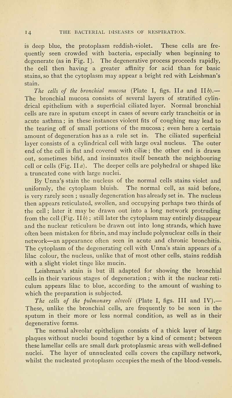 is deep blue, the protoplasm reddish-violet. These cells are fre- quently seen crowded with bacteria, especially when beginning to degenerate (as in Fig. I). The degenerative process proceeds rapidly, the cell then having a greater affinity for acid than for basic stains, so that the cytoplasm may appear a bright red with Leishman's stain. The cells of the bronchial mucosa (Plate I, figs. \la and 116).— The bronchial mucosa consists of several layers of stratified cylin- drical epithelium with a superficial ciliated layer. Normal bronchial cells are rare in sputum except in cases of severe early trancheitis or in acute asthma; in these instances violent fits of coughing may lead to the tearing off of small portions of the mucosa ; even here a certain amount of degeneration has as a rule set in. The ciliated superficial layer consists of a cylindrical cell with large oval nucleus. The outer end of the cell is flat and covered with cilias ; the other end is drawn out, sometimes bifid, and insinuates itself beneath the neighbouring cell or cells (Fig. 11a). The deeper cells are polyhedral or shaped like a truncated cone with large nuclei. By Unna's stain the nucleus of the normal cells stains violet and uniformly, the cytoplasm bluish. The normal cell, as said before, is very rarely seen ; usually degeneration has already set in. The nucleus then appears reticulated, swollen, and occupying perhaps two thirds of the cell; later it may be drawn out into a long network protruding from the cell (Fig. 116) ; still later the cytoplasm may entirely disappear and the nuclear reticulum be drawn out into long strands, which have often been mistaken for fibrin, and may include polynuclear cells in their network—an appearance often seen in acute and chronic bronchitis. The cytoplasm of the degenerating cell with Unna's stain appears of a lilac colour, the nucleus, unlike that of most other cells, stains reddish with a slight violet tinge like mucin. Leishman's stain is but ill adapted for showing the bronchial cells in their various stages of degeneration ; with it the nuclear reti- culum appears lilac to blue, according to the amount of washing to which the preparation is subjected. The cells of the pulmonary alveoli (Plate I, figs. Ill and IV).— These, unlike the bronchial cells, are frequently to be seen in the sputum in their more or less normal condition, as well as in their degenerative forms. The normal alveolar epithelium consists of a thick layer of large plaques without nuclei bound together by a kind of cement; between these lamellar cells are small dark protoplasmic areas with well-defined nuclei. The layer of unnucleated cells covers the capillary network, whilst the nucleated protoplasm occupies the mesh of the blood-vessels.