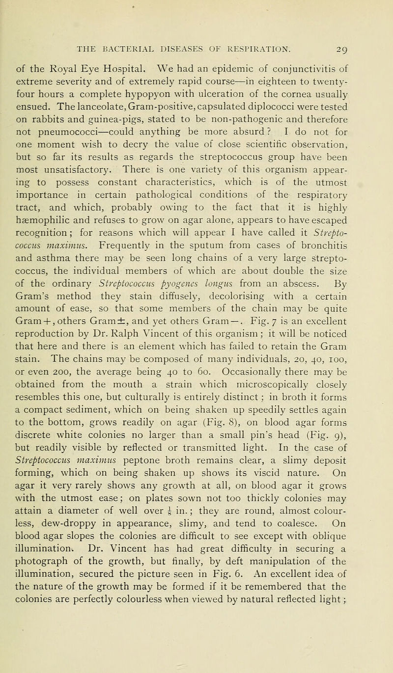 of the Royal E3''e Hospital. We had an epidemic of conjunctivitis of extreme severity and of extremely rapid course—in eighteen to twenty- four hours a complete hypopyon with ulceration of the cornea usually ensued. The lanceolate, Gram-positive, capsulated diplococci were tested on rabbits and guinea-pigs, stated to be non-pathogenic and therefore not pneumococci—could anything be more absurd ? I do not for one moment wish to decry the value of close scientific observation, but so far its results as regards the streptococcus group have been most unsatisfactory. There is one variety of this organism appear- ing to possess constant characteristics, which is of the utmost importance in certain pathological conditions of the respiratory tract, and which, probably owing to the fact that it is highly hasmophilic and refuses to grow on agar alone, appears to have escaped recognition; for reasons which will appear I have called it Strepto- coccus Jiiaxiuius. Frequently in the sputum from cases of bronchitis and asthma there may be seen long chains of a very large strepto- coccus, the individual members of which are about double the size of the ordinary Streptococcus pyogenes longus from an abscess. By Gram's method they stain diffusely, decolorising with a certain amount of ease, so that some members of the chain may be quite Gram + , others Gram±, and yet others Gram — . Fig. 7 is an excellent reproduction by Dr. Ralph Vincent of this organism; it will be noticed that here and there is an element which has failed to retain the Gram stain. The chains may be composed of many individuals, 20, 40, 100, or even 200, the average being 40 to 60. Occasionally there may be obtained from the mouth a strain which microscopically closely resembles this one, but culturally is entirely distinct; in broth it forms a compact sediment, which on being shaken up speedily settles again to the bottom, grows readily on agar (Fig. 8), on blood agar forms discrete white colonies no larger than a small pin's head (Fig. 9), but readily visible by reflected or transmitted light. In the case of Streptococcus maximus peptone broth remains clear, a slim}' deposit forming, which on being shaken up shows its viscid nature. On agar it very rarely shows any growth at all, on blood agar it grows with the utmost ease; on plates sown not too thickly colonies may attain a diameter of well over | in.; they are round, almost colour- less, dew-droppy in appearance, slimy, and tend to coalesce. On blood agar slopes the colonies are difficult to see except with oblique illumination. Dr. Vincent has had great difficulty in securing a photograph of the growth, but finally, by deft manipulation of the illumination, secured the picture seen in Fig. 6. An excellent idea of the nature of the growth may be formed if it be remembered that the colonies are perfectly colourless when viewed by natural reflected light;