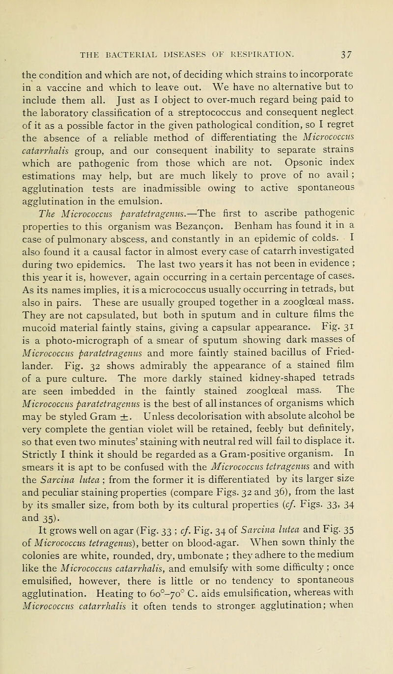 the condition and which are not, of deciding which strains to incorporate in a vaccine and which to leave out. We have no alternative but to include them all. Just as I object to over-much regard being paid to the laborator}' classification of a streptococcus and consequent neglect of it as a possible factor in the given pathological condition, so I regret the absence of a rehable method of differentiating the Micrococcus catarrhalis group, and our consequent inability to separate strains which are pathogenic from those which are not. Opsonic index estimations may help, but are much likely to prove of no avail; agglutination tests are inadmissible owing to active spontaneous agglutination in the emulsion. The Micrococcus paratetrageims.—The first to ascribe pathogenic properties to this organism was Bezancon. Benham has found it in a case of pulmonary abscess, and constantly in an epidemic of colds. I also found it a causal factor in almost every case of catarrh investigated during two epidemics. The last two years it has not been in evidence ; this year it is, however, again occurring in a certain percentage of cases. As its names imphes, it is a micrococcus usually occurring in tetrads, but also in pairs. These are usually grouped together in a zooglceal mass. They are not capsulated, but both in sputum and in culture films the mucoid material faintly stains, giving a capsular appearance. Fig. 31 is a photo-micrograph of a smear of sputum showing dark masses of Micrococcus paratetragenus and more faintly stained bacillus of Fried- lander. Fig. 32 shows admirably the appearance of a stained film of a pure culture. The more darkly stained kidney-shaped tetrads are seen imbedded in the faintly stained zooglceal mass. The Micrococcus paratetragenus is the best of all instances of organisms which may be styled Gram ±. Unless decolorisation with absolute alcohol be very complete the gentian violet will be retained, feebly but definitely, so that even two minutes' staining with neutral red will fail to displace it. Strictly I think it should be regarded as a Gram-positive organism. In smears it is apt to be confused with the Micrococcus tetragenus and with the Sarcina liitea; from the former it is differentiated by its larger size and peculiar staining properties (compare Figs. 32 and 36), from the last by its smaller size, from both by its cultural properties {cf. Figs. 33, 34 and 35). It grows well on agar (Fig. 33 ; cf. Fig. 34 of Sarcina lutea and Fig. 35 oi Micrococcus tetragenus), better on blood-agar. When sown thinly the colonies are white, rounded, dry, umbonate ; they adhere to the medium like the Micrococcus catarrhalis, and emulsify with some difficulty; once emulsified, however, there is little or no tendency to spontaneous agglutination. Heating to 6o°-yo° C. aids emulsification, whereas with Micrococcus catarrhalis it often tends to stronger agglutination; when