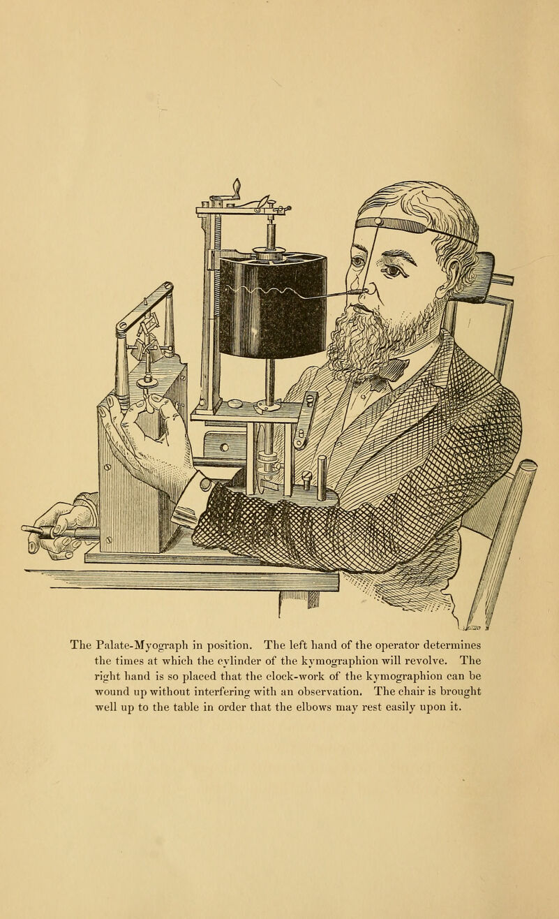 The Palate-Myogi'aph in position. The left hand of the operator determines the times at which the cylinder of the kymographion will revolve. The right hand is so placed that the clock-work of the kymographion can be wound up without interfering with an observation. The chair is brought well up to the table in order that the elbows may rest easily upon it.