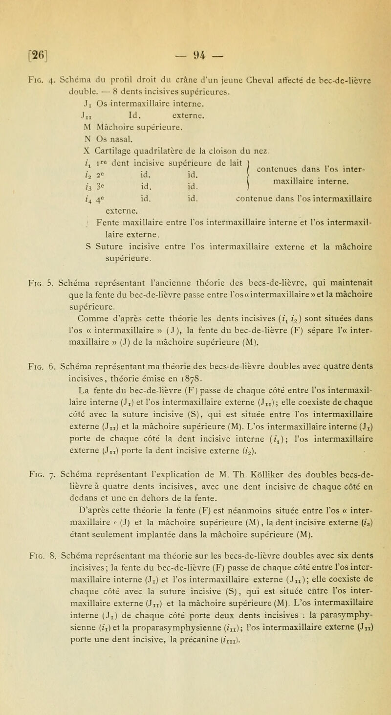 [26] — 94 — FiG. 4. Schéma du prntil droit du crâne diin jeune Cheval affecté de bec-de-Hèvre double. — 8 dents incisives supérieures. ,Ii Os intermaxiilaire interne. J,, Id. externe. M Màclioirc supérieure. N Os nasal. X Cartilage quadrilatère de la cloison du nez. /, i'^ dent incisive supérieure de lait ) . ,. ■ . , I contenues dans 1 os inter- ! id. id. > .,, . . . . . \ maxillaire interne. )<' id. id. ) 4 40 id. id. contenue dans l'os intermaxillaire externe. Fente maxillaire entre l'os intermaxillaire interne et l'os intermaxil- laire externe. S Suture incisive entre l'os intermaxillaire externe et la mâchoire supérieure. FiG 5. Schéma représentant l'ancienne théorie des becs-de-lièvre, qui maintenait que la fente du bec-de-lièvre passe entre ros«intermaxillaire»et la mâchoire supérieure. Comme d'après cette théorie les dents incisives (îj iz) sont situées dans l'os « intermaxillaire » (J), la fente du bec-de-lièvre (F) sépare r« inter- maxillaire » (.T) de la mâchoire supérieure (M). FiG. 6. Schéma représentant ma théorie des becs-de-lièvre doubles avec quatre dents incisives, théorie émise en 187S. La fente du bec-de-lièvre (F) passe de chaque côté entre l'os intermaxil- laire interne (Ji) et l'os intermaxillaire externe (Jn); elle coexiste de chaque côté avec la suture incisive (S), qui est située entre l'os intermaxillaire externe (Jn) et la mâchoire supérieure (M). L'os intermaxillaire interne (Ji) porte de chaque côté la dent incisive interne (/,); l'os intermaxillaire externe (Jn) porte la dent incisive externe (12). FiG. 7. Schéma représentant l'explication de M. Th. KôUiker des doubles becs-dc- lièvre à quatre dents incisives, avec une dent incisive de chaque côté en dedans et une en dehors de la fente. D'après cette théorie la fente (F) est néanmoins située entre l'os « inter- maxillaire  ( J) et la mâchoire supérieure (M), la dent incisive externe (Zz) étant seulement implantée dans la mâchoire supérieure (M). FiG. 8. Schéma représentant ma théorie sur les hecs-de-lièvre doubles avec six dents incisives ; la fente du bec-de-lièvre (F) passe de chaque côté entre l'os inter- maxiilaire interne (Ji) et l'os intermaxillaire externe (Jn); elle coexiste de chaque côté avec la suture incisive (S), qui est située entre l'os inter- maxillaire externe (Jn) et la mâchoire supérieure (M), L'os intermaxillaire interne (Ji) de chaque côté porte deux dents incisives : la parasymphy- sienne (ii) et la proparasymphysienne (in); l'os intermaxillaire externe (Jn) porte une dent incisive, la précanine (/m).