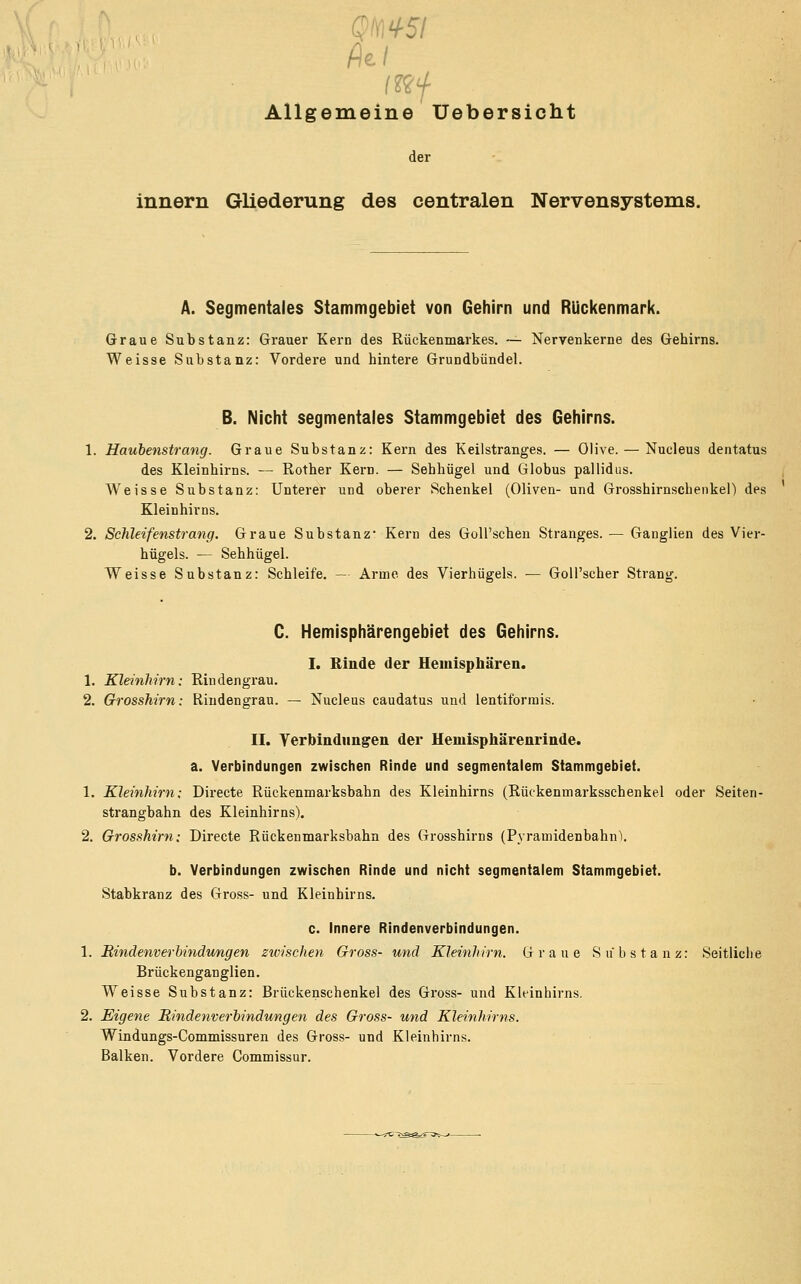 fttl Allgemeine Uebersicht der innern Gliederung des centralen Nervensystems. A. Segmentales Stammgebiet von Gehirn und Rückenmark. Graue Substanz: Grauer Kern des Rückenmarkes. -— Nervenkerne des Gehirns. Weisse Substanz: Vordere und hintere Grundbündel. B. Nicht segmentales Stammgebiet des Gehirns. 1. Haubenstrang. Graue Substanz: Kern des Keilstranges. — Olive. — Nucleus dentatus des Kleinhirns. — Rother Kern. — Sehhügel und Globus pallidus. Weisse Substanz: Unterer und oberer Schenkel (Oliven- und Grosshirnschenkel) des Kleinhirns. 2. Schleifenstrang. Graue Substanz* Kern des Goll'schen Stranges. — Ganglien des Vier- hügels. — Sehhügel. Weisse Substanz: Schleife. — Arme des Vierhügels. — GoH'scher Strang. C. Hemisphärengebiet des Gehirns. I. Binde der Hemisphären. 1. Kleinhirn: Rinden grau. 2. Grosshirn: Riudengrau. — Nucleus caudatus und lentiforrais. II. Verbindungen der Uemisphärenrinde. a. Verbindungen zwischen Rinde und segmentalem Stammgebiei. 1. Kleinhirn: Directe Rückenmarksbahn des Kleinhirns (Rückenmarksschenkel oder Seiten- strangbahn des Kleinhirns). 2. Grosshirn: Directe Rückenmarksbahn des Grosshirns (Pyramidenbahn\ b. Verbindungen zwischen Rinde und nicht segmentalem Stammgebiet. Stabkranz des Gross- und Kleinhirns. c. Innere Rindenverbindungen. 1. Bindenverbindungen zioischen Gross- und Kleinhirn. Graue Substanz: Seitliche Brückenganglien. Weisse Substanz: Brückenschenkel des Gross- und Kleinhirns. 2. Eigene Rindenverbindungen des Gross- und Kleinhirns. Windungs-Commissuren des Gross- und Kleinhirns. Balken. Vordere Commissur.