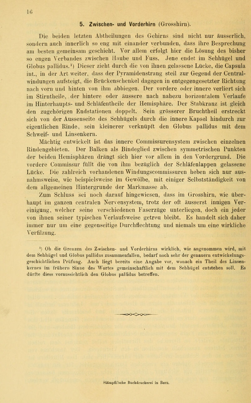 5. Zwischen- und Vorderhjrn (Grosshirn). Die beiden letzten Abtheilungen des Gehirns sind nicht nur äusserlich, sondern auch innerlich so eng mit einander verbunden, dass ihre Besprechung am besten gemeinsam geschieht. Vor allem erfolgt hier die Lösung des bisher so engen Verbandes zwischen Haube und Fuss. Jene endet im Sehhügel und Globus pallidus.^) Dieser zieht durch die von ihnen gelassene Lücke, die Capsula int, in der Art weiter, dass der Pyramidenstrang steil zur Gegend der Central- windungen aufsteigt, die Brückenschenkel dagegen in entgegengesetzter Richtung nach vorn und hinten von ihm abbiegen. Der vordere oder innere verliert sich im Stirntheile, der hintere oder äussere nach nahezu horizontalem Verlaufe im Hinterhaupts- und Schläfentheile der Hemisphäre. Der Stabkranz ist gleich den zugehörigen Endstationen doppelt. Sein grösserer Bruchtheil erstreckt sich von der Aussenseite des Sehhügels durch die innere Kapsel hindurch zur eigentlichen Rinde, sein kleinerer verknüpft den Globus pallidus mit dem Schweif- und Linsenkern. Mächtig entwickelt ist das innere Commissurensystem zwischen einzelnen Rindengebieten. Der Balken als Bindeglied zwischen symmetrischen Punkten der beiden Hemisphären drängt sich hier vor allem in den Vordergrund. Die vordere Commissur füllt die von ihm bezüglich der Schläfenlappen gelassene Lücke. Die zahlreich vorhandenen Windungscommissuren heben sich nur aus- nahmsweise, wie beispielsweise im Gewölbe, mit einiger Selbstständigkeit von dem allgemeinen Hintergrunde der Markmasse ab. Zum Schluss sei noch darauf hingewiesen, dass im Grosshirn, wie über- haupt im ganzen centralen Nervensystem, trotz der oft äusserst innigen Ver- einigung, welcher seine verschiedenen Faserzüge unterliegen, doch ein jeder von ihnen seiner typischen Verlaufsweise getreu bleibt. Es handelt sich daher immer nur um eine gegenseitige Durchflechtung und niemals um eine wirkliche Verfilzung. ') Ob die Grenzen des Zwischen- und Vorderhirns wirklich, wie angenommen wird, mit dem Sehhügel und Globus pallidus zusammenfallen, bedarf noch sehr der genauem entwickelungs- geschichtlichen Prüfung. Auch liegt bereits eine Angabe vor, wonach ein Theil des Linsen- kernes im frühern Sinne des Wortes gemeinschaftlich mit dem Sehhügel entstehen soll. Es dürfte diess voraussichtlich den Globus pallidus betreffen. Stämpfli'sche Buchdruckerei in Bern.