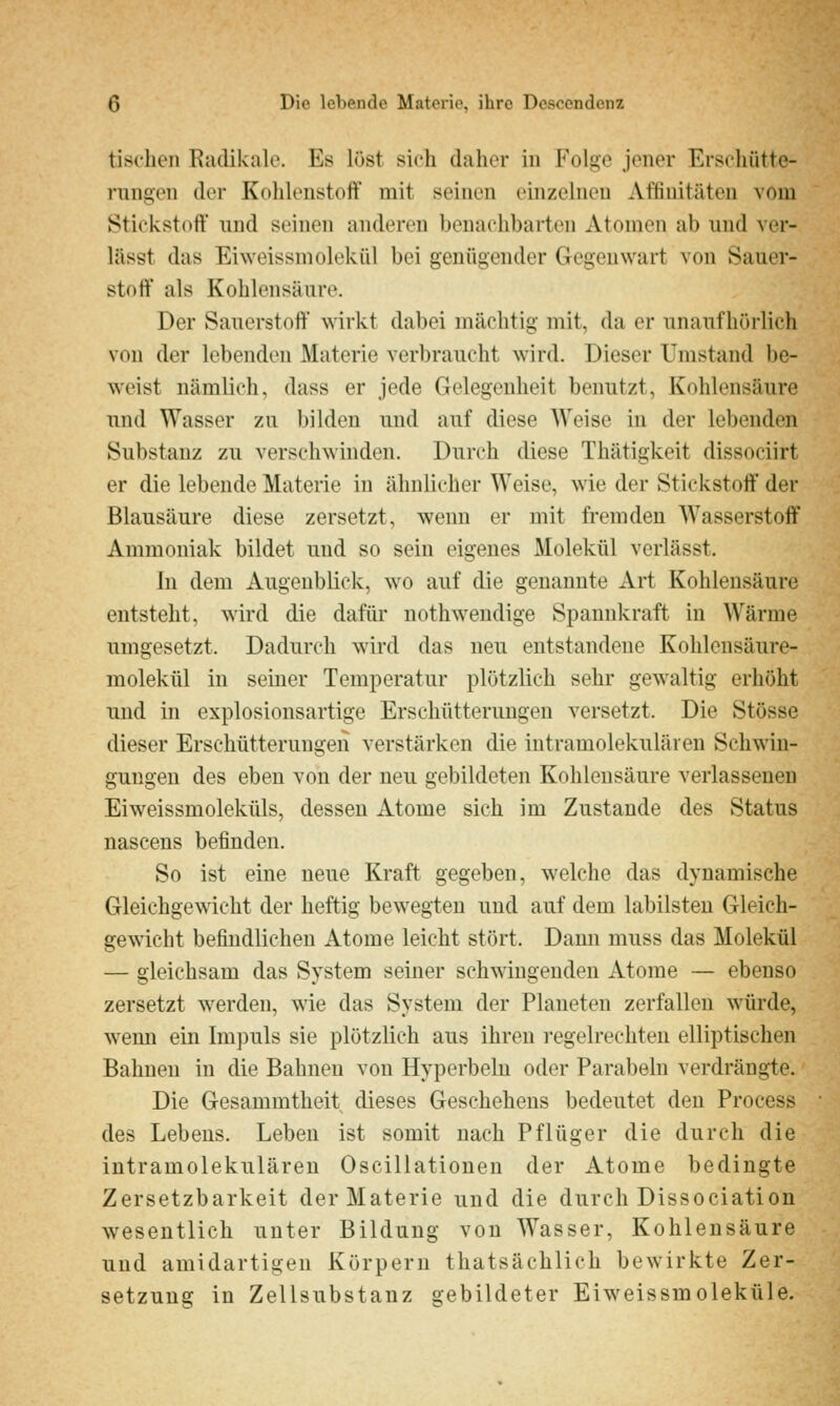 tischen Radikale. Es löst sich daher in Folge jener Erschütte- rungen der Kohlenstoff mit seinen einzelneu Affinitäten vom Stickstoff und seinen anderen benachbarten Atomen ab und ver- lässt das Eiweissmolekiil bei genügender Gegenwart von Sauer- stoff als Kohlensäure. Der Sauerstoff wirkt dabei mächtig mit, da er unaufhörlich von der lebenden Materie verbraucht wird. Dieser Umstand be- weist nämlich, dass er jede Gelegenheit benutzt, Kohlensäure und Wasser zu bilden und auf diese Weise in der lebenden Substanz zu verschwinden. Durch diese Thätigkeit dissociirt er die lebende Materie in ähnlicher Weise, wie der Stickstoff' der Blausäure diese zersetzt, wenn er mit fremden Wasserstoff' Ammoniak bildet und so sein eigenes Molekül verlässt. In dem Augenblick, wo auf die genannte Art Kohlensäure entsteht, wird die dafür nothweudige Spannkraft in Wärme umgesetzt. Dadurch wird das neu entstandene Kohlensäure- molekül in semer Temperatur plötzlich sehr gew'altig erhöht und in explosionsartige Erschütterungen versetzt. Die Stösse dieser Erschütterungen verstärken die intramolekularen Schwin- gungen des eben von der neu gebildeten Kohlensäure verlassenen Eiweissmoleküls, dessen Atome sich im Zustande des Status nasceus befinden. So ist eine neue Kraft gegeben, welche das dynamische Gleichgewicht der heftig bewegten und auf dem labilsten Gleich- gewicht befindlichen Atome leicht stört. Dann muss das Molekül — gleichsam das System seiner schwingenden Atome — ebenso zersetzt w^erden, wie das System der Planeten zerfallen würde, wenn ein Impuls sie plötzlich aus ihren regelrechten elliptischen Bahnen in die Bahnen von Hyperbeln oder Parabeln verdrängte. Die Gesammtheit dieses Geschehens bedeutet den Process des Lebens. Leben ist somit nach Pflüger die durch die intramolekularen Oscillationen der Atome bedingte Zersetzbarkeit der Materie und die durch Dissociation wesentlich unter Bildung von Wasser, Kohlensäure und amidartigen Körpern thatsächlich bewirkte Zer- setzung in Zellsubstanz gebildeter Eiw^eissmoleküle.