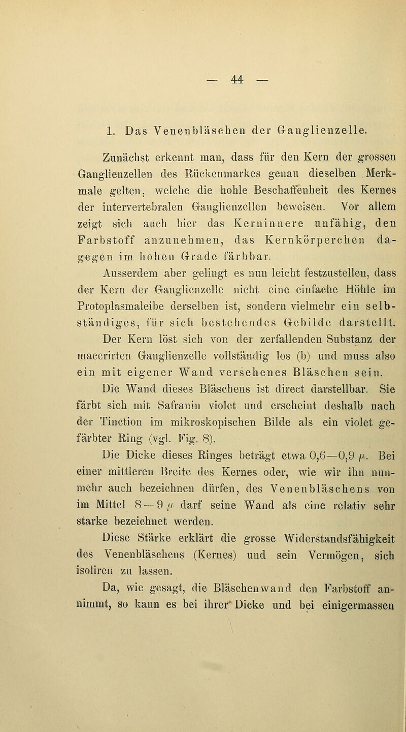 1. Das Venenbläschen der Ganglienzelle. Zunächst erkennt man, dass für den Kern der grossen Ganglienzellen des Rückenmarkes genau dieselben Merk- male gelten, welche die hohle Beschaffenheit des Kernes der intervertebraien Ganglienzellen beweisen. Vor allem zeigt sich auch hier das Kerninnere unfähig, den Farbstoff anzunehmen, das Kernkörperchen da- gegen im hohen Grade färbbar. Ausserdem aber gelingt es nun leicht festzustellen, dass der Kern der Ganglienzelle nicht eine einfache Höhle im Protoplasmaleibe derselben ist, sondern vielmehr ein selb- ständiges, für sich bestehendes Gebilde darstellt. Der Kern löst sich A^on der zerfallenden Substanz der macerirten Ganglienzelle vollständig los (b) und muss also ein mit eigener Wand versehenes Bläschen sein. Die Wand dieses Bläschens ist direct darstellbar. Sie färbt sich mit Safranin violet und erscheint deshalb nach der Tinction im mikroskopischen Bilde als ein violet ge- färbter Ring (vgl. Fig. 8). Die Dicke dieses Ringes beträgt etwa 0,6—0,9 |W. Bei einer mittleren Breite des Kernes oder, wie wir ihn nun- mehr auch bezeichnen dürfen, des Venenbläschens von im Mittel 8 — 9 /( darf seine Wand als eine relativ sehr starke bezeichnet werden. Diese Stärke erklärt die grosse Widerstandsfähigkeit des Venenbläschens (Kernes) und sein Vermögen, sich isolireu zu lassen. Da, wie gesagt, die Bläschen wand den Farbstoff an- nimmt, so kann es bei ihrer'Dicke und bei einigermasseu