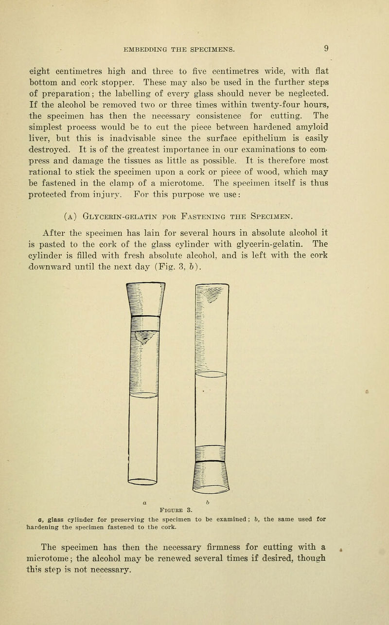 eight centimetres high and three to five centimetres wide, with flat bottom and cork stopper. These may also be used in the further steps of preparation; the labelling of every glass should never be neglected. If the alcohol be removed two or three times within twenty-four hours, the specimen has then the necessary consistence for cutting. The simplest process would be to cut the piece between hardened amyloid liver, but this is inadvisable since the surface epithelium is easily destroyed. It is of the greatest importance in our examinations to com- press and damage the tissues as little as possible. It is therefore most rational to stick the specimen upon a cork or piece of wood, which may be fastened in the clamp of a microtome. The specimen itself is thus protected from injury. For this purpose we use: (a) Glycerin-gelatin for Fastening the Specimen. After the specimen has lain for several hours in absolute alcohol it is pasted to the cork of the glass cylinder with glycerin-gelatin. The cylinder is filled with fresh absolute alcohol, and is left with the cork downward until the next day (Fig. 3. b). FlGUEE 3. a, glass cylinder for preserving the specimen to be examined; h, the same used for hardening the specimen fastened to the cork. The specimen has then the necessary firmness for cutting with a microtome; the alcohol may be renewed several times if desired, though this step is not necessary.