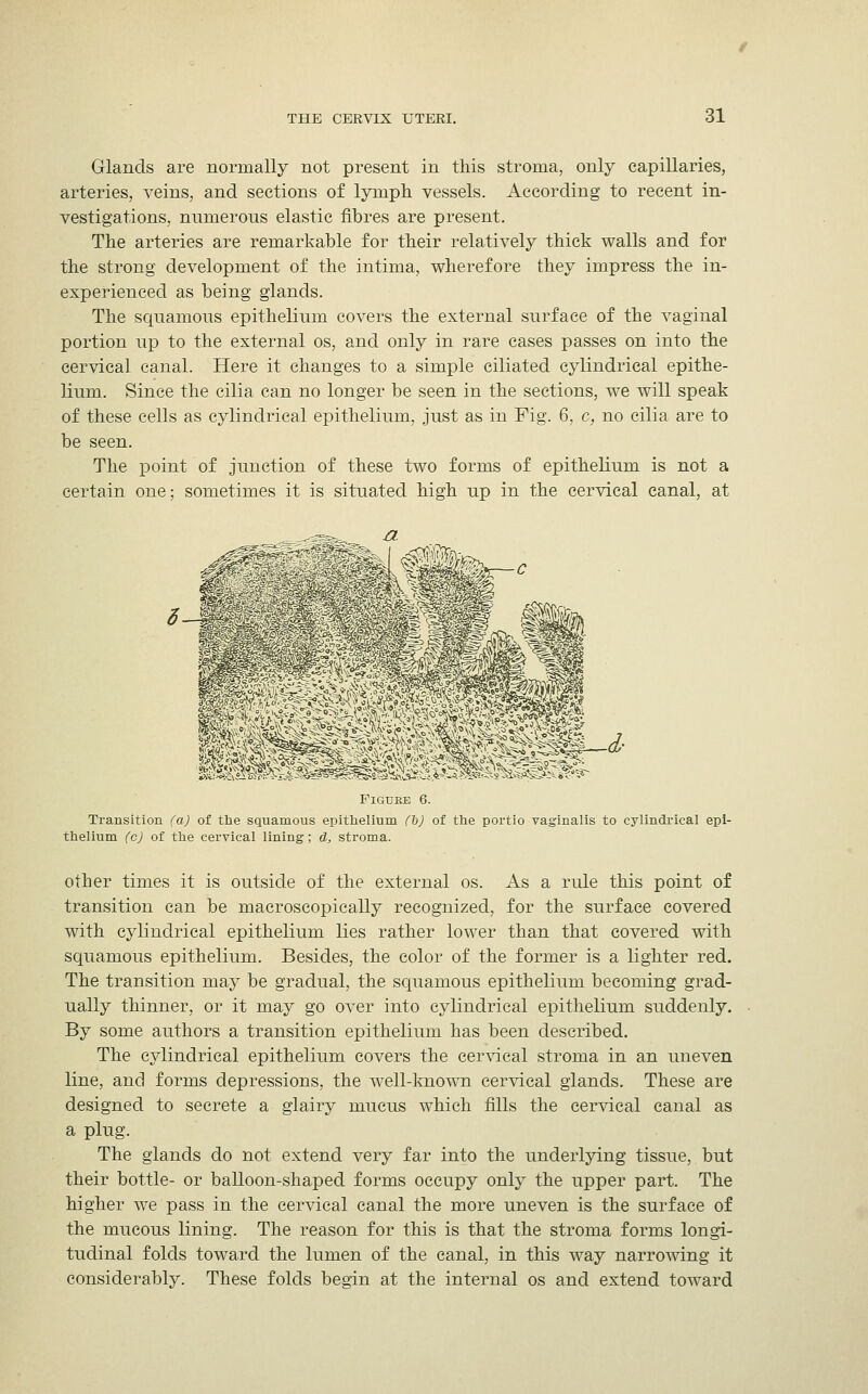 Glands are normally not present in this stroma, only capillaries, arteries, veins, and sections of lymph vessels. According to recent in- vestigations, nnmerons elastic fibres are present. The arteries are remarkable for their relatively thick walls and for the strong development of the intima, wherefore they impress the in- experienced as being glands. The squamous epithelium covers the external surface of the vaginal portion up to the external os, and only in rare cases passes on into the cervical canal. Here it changes to a simple ciliated cylindrical epithe- lium. Since the cilia can no longer be seen in the sections, we will speak of these cells as cylindrical epithelium, just as in Fig. 6, c, no cilia are to be seen. The point of junction of these two forms of epithelium is not a certain one; sometimes it is situated high up in the cervical canal, at FlGTJEE 6. Transition (a) of the squamous epithelium Cb) of the portio vaginalis to cylindrical epi- thelium (c) of the cervical lining; d, stroma. other times it is outside of the external os. As a rule this point of transition can be macroscopically recognized, for the surface covered with cylindrical epithelium lies rather lower than that covered with squamous epithelium. Besides, the color of the former is a lighter red. The transition may be gradual, the squamous epithelium becoming grad- ually thinner, or it may go over into cylindrical epithelium suddenly. By some authors a transition epithelium has been described. The cylindrical epithelium covers the cervical stroma in an uneven line, and forms depressions, the well-known cervical glands. These are designed to secrete a glairy mucus which fills the cervical canal as a plug. The glands do not extend very far into the underlying tissue, but their bottle- or balloon-shaped forms occupy only the upper part. The higher we pass in the cervical canal the more uneven is the surface of the mucous lining. The reason for this is that the stroma forms longi- tudinal folds toward the lumen of the canal, in this way narrowing it considerably. These folds begin at the internal os and extend toward