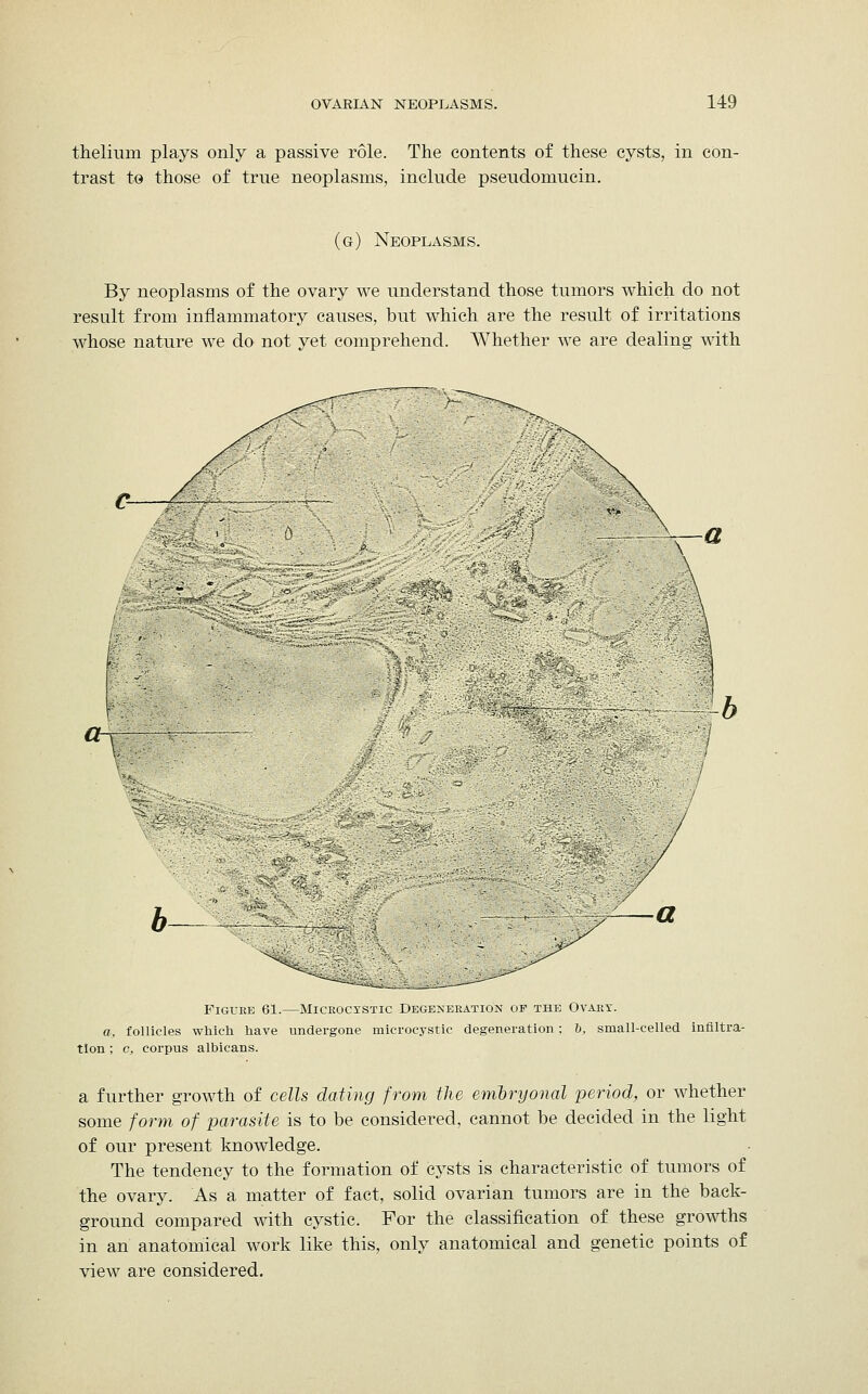 thelium plays only a passive role. The contents of these cysts, in con- trast to those of true neoplasms, include pseudomucin. (g) Neoplasms. By neoplasms of the ovary we understand those tumors which do not result from inflammatory causes, but which are the result of irritations whose nature we do not yet comprehend. Whether we are dealing with Figure 61.—Microcxstic Degeneration of the Ovary. a, follicles which have undergone microcystic degeneration: b, small-celled infiltra- tion ; c, corpus albicans. a further growth of cells dating from the embryonal period, or whether some form of parasite is to be considered, cannot be decided in the light of our present knowledge. The tendency to the formation of cysts is characteristic of tumors of the ovary. As a matter of fact, solid ovarian tumors are in the back- ground compared with cystic. For the classification of these growths in an anatomical work like this, only anatomical and genetic points of view are considered.