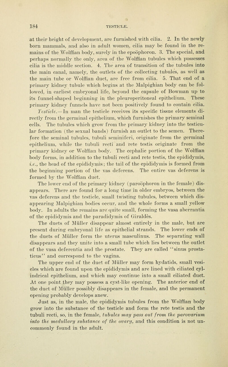 at their height of development, are furnished with cilia. 2. In the newly born mammals, and also in adult women, cilia may be found in the re- mains of the Wolffian body, surely in the epoophoron. 3. The special, and perhaps normally .the only, area of the Wolffian tubules which possesses cilia is the middle section. 4. The area of transition of the tubules into the main canal, namely, the outlets of the collecting tubules, as well as the main tube or Wolffian duct, are free from cilia. 5. That end of a primary kidney tubule which begins at the Malpighian body can be fol- lowed, in earliest embryonal life, beyond the capsule of Bowman up to its funnel-shaped beginning in the pleuroperitoneal epithelium. These primary kidney funnels have not been positively found to contain cilia. Testicle. — In man the testicle receives its specific tissue elements di- rectly from the germinal epithelium, which furnishes the primary seminal cells. The tubules which grow from the primary kidney into the testicu- lar formation (the sexual bands) furnish an outlet to the semen. There- fore the seminal tubules, tubuli seminiferi, originate from the germinal epithelium, while the tubuli recti and rete testis originate from the primary kidney or Wolffian body. The cephalic portion of the Wolffian body forms, in addition to the tubuli recti and rete testis, the epididymis, i.e., the head of the epididymis; the tail of the epididymis is formed from the beginning portion of the vas deferens. The entire vas deferens is formed by the Wolffian duct. The lower end of the primary kidney (paroophoron in the female) dis- appears. There are found for a long time in older embryos, between the vas deferens and the testicle, small twisting tubules, between which dis- appearing Malpighian bodies occur, and the whole forms a small yellow body. In adults the remains are quite small, forming the vasa aberrantia of the epididymis and the paradidymis of Giraldes. The ducts of Miiller disappear almost entirely in the male, but are present during embryonal life as epithelial strands. The lower ends of the ducts of Miiller form the uterus masculinus. The separating wall disappears and they unite into a small tube which lies between the outlet of the vasa deferentia and the prostate. They are called sinus prosta- ticus and correspond to the vagina. The upper end of the duct of Miiller may form hydatids, small vesi- cles which are found upon the epididymis and are lined with ciliated cyl- indrical epithelium, and which may continue into a small ciliated duct. At one point they may possess a cyst-like opening. The anterior end of the duct of Miiller possibly disappears in the female, and the permanent opening probably develops anew. Just as, in the male, the epididymis tubules from the Wolffian body grow into the substance of the testicle and form the rete testis and the tubuli recti, so, in the female, tubules may pass out from the parovarium into the medullary substance of the ovary, and this condition is not un- commonly found in the adult.