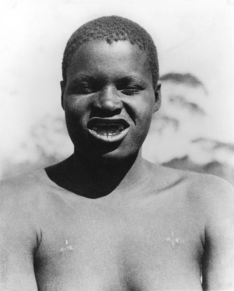 No text description is available for this image