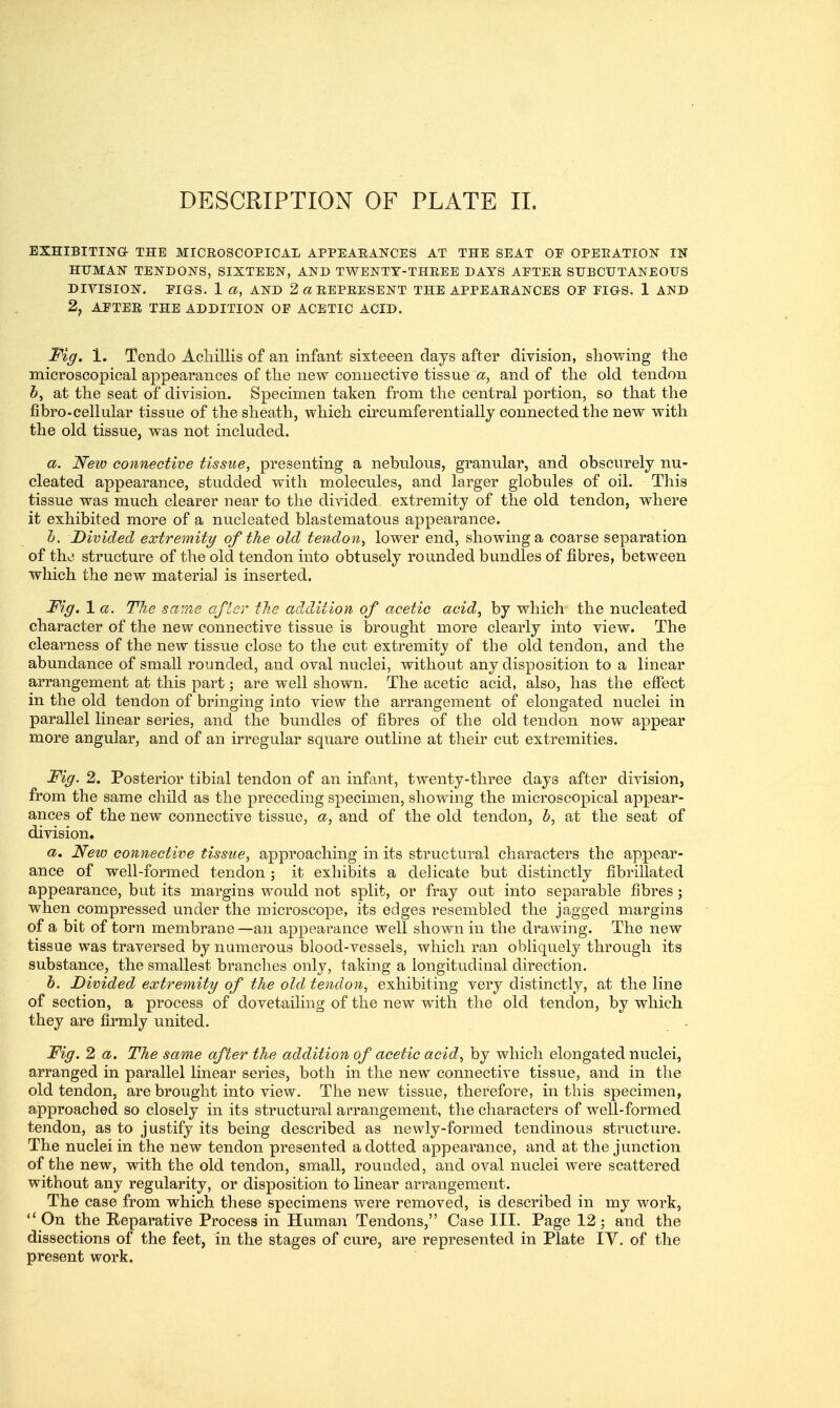 EXHIBITIN& THE MICEOSCOPICAL APPEAEANCES AT THE SEAT OP OPEEATION IN HUMAN TENDONS, SIXTEEN, AND TWENTY-THEEE DAYS APTEE SUBCUTANEOUS DIVISION. PiaS. 1 a, and 2 «EEPEESENT the APPEAEANCES op pigs. 1 AND 2, AFTER THE ADDITION OF ACETIC ACID. -F^^. 1. Tendo Acliillis of an infant sixteeen days after division, showing the microscopical appearances of the new connective tissue a, and of the old tendon 5, at the seat of division. Specimen taken from the central portion, so that the fibro-cellular tissue of the sheath, which circumferentially connected the new with the old tissue, was not included. a. Neio connective tissue, presenting a nebulous, granular, and obscurely nu- cleated appearance, studded with molecules, and larger globules of oil. Tliis tissue was much clearer near to the divided extremity of the old tendon, where it exhibited more of a nucleated blastematous appearance. h. Divided extremity of the old tendon, lower end, showing a coarse separation of the structure of the old tendon into obtusely rounded bundles of fibres, between which the new material is inserted. Fig. 1 a. The same after the addition of acetic acid, by which the nucleated character of the new connective tissiie is brought more clearly into view. The clearness of the new tissue close to the cut extremity of the old tendon, and the abundance of small rounded, and oval nuclei, without any disposition to a linear arrangement at this part; are well shown. The acetic acid, also, has the effect in the old tendon of bringing into view the arrangement of elongated nuclei in parallel linear series, and the bundles of fibres of the old tendon now appear more angular, and of an irregular square outline at their cut extremities. Fig. 2. Posterior tibial tendon of an infant, twenty-three days after division, from the same child as the preceding specimen, showing the microscopical appear- ances of the new connective tissue, a, and of the old tendon, h, at the seat of division. a. New connective tissue, approaching in its structural characters the appear- ance of well-formed tendon ; it exhibits a delicate but distinctly fibrillated appearance, but its margins would not split, or fray out into separable fibres; when compressed under the microscope, its edges i-esembled the jagged margins of a bit of torn membiane —an appearance well shown in the drawing. The new tissue was traversed by numerous blood-vessels, which ran obUquely through its substance, the smallest branches only, taking a longitudinal direction. h. Divided extremity of the old tendon, exhibiting very distinctly, at the line of section, a process of dovetailing of the new with the old tendon, by which they are firmly united. Fig. 2 a. The same after the addition of acetic acid, by which elongated nuclei, arranged in parallel linear series, both in the new connective tissue, and in the old tendon, are brought into view. The new tissue, therefore, in this specimen, approached so closely in its structural arrangement, the characters of well-formed tendon, as to justify its being described as newly-formed tendinous stru.cture. The nuclei in the new tendon presented a dotted appearance, and at the junction of the new, with the old tendon, small, rounded, and oval nuclei were scattered without any regularity, or disposition to Unear arrangement. The case from which these specimens were removed, is described in my work,  On the Reparative Process in Human Tendons, Case III. Page 12 ; and the dissections of the feet, in the stages of cure, are represented in Plate lY. of the present work.