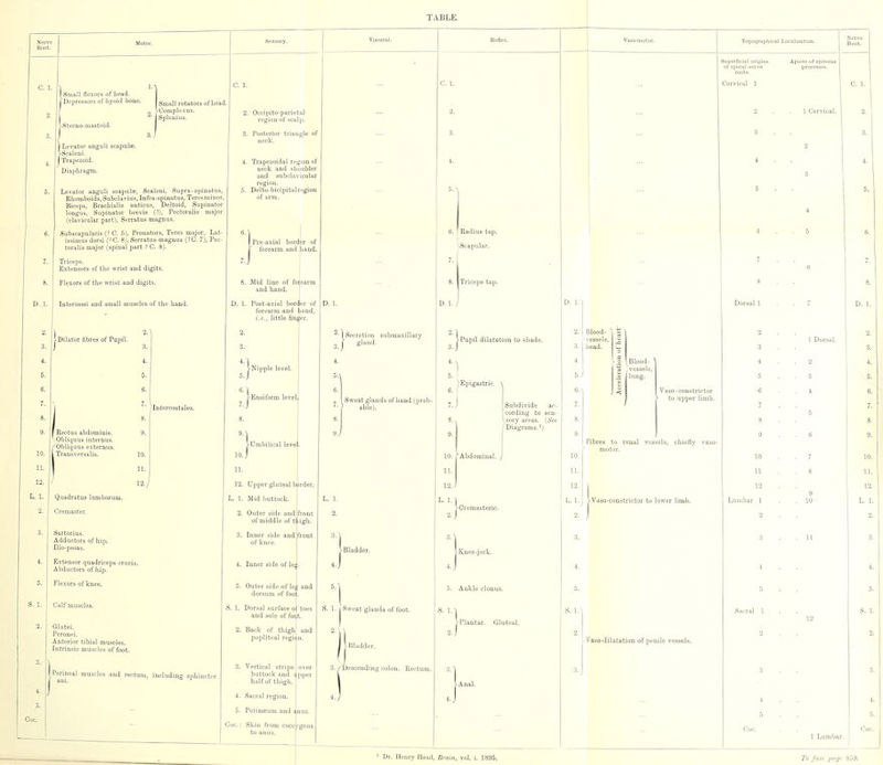 lall flexors of head, j Depressors of liyoid bone. -Sterno-mastoid. Small rotators of head, „ IComple.xus. ^- Spleuius. j Levator anguli scapulae. [■Sealeni. I Trapezoid. Diaphragm. Levator angiili scapulas, Sealeni, Supra-spinatus, Rhomboids, Subclavius, Infra-spinatus, Teres minor. Biceps, Braohialis anticus, Deltoid, Supinator longus, Supinator brevis (?), Pectoralis major (clavicular part), Serratus magnus. Subscapularis (? C. 5), Pronators, Teres major, Lat- issimus dorsi (?C. 8), Serratus magnus (?C. 7), Per toralis major (spinal part ? C. 8). Triceps. Extensors of the wrist and digits. Flexors of the wrist and digits. Interossei and small muscles of the hand. -Dilator fibres of Pupil. 2. Occipito-parietal region of scal]>. 4. Trapezoidal region of neck and shoulder and subclavicular region. 5. Delto-bicipital region of arm. /Intercostales. Rectus abdominis. Obliquus internus. 'Obliquus externus. Transversalis. Quadratus lumborum. Cremaster. Sartorius. Adductors of hi]i. Ilio-psoas. Extensor quadriceps cruris. Abductors of hip. Glutei. Peronei. Anterior tibial muscles. Intrinsic muscles of foot. D. 1. Post-axial border of forearm and hand, i.e., little finger. ^Nipple level. -Ensiform levelj ^' 1 Secretion submaxillary 3 j gland. 12./ Perineal muscles and rectum, including sphincter 12. Upper gluteal bprder. L. 1. Mid buttock. 2. Outer side and of middle of t^igl; 3. Inner side and front of knee. 4. Inner side of leg. 5. Outer side of leg and dorsum of foot. Dorsal surface of toes and sole of fodt. 2. Back of thigh and popliteal regii Vertical stripe over buttock and i pper half of thigh. ^ Sacral region. Perinseum and anus. Skin from cocotgeu Sweat glands of band (prob- able). S. 1. j Sweat glands of foot. adder. ;ending colon. Rectun 6. Radius tap. \ScapiLlar. I Triceps tap. 'Pupil dilatation to shade. ) Epigastric. \ Subdivide ac- cording to sen- sory areas. (Set Diagrams.') ^Kuee-jerk. Plantar. Gluteal. Topograijliical Localisation. Superficial origins Apices of spin of spinal nerve 2. I Blood- 3. I head. lung. Vaso-constrictor to upper limb. Vaso-constrictor to lower limb. Vaso-dilatation of penile vessels. ' Dr. Henry Head, Brain, vol. i. 1895. To face page 859.