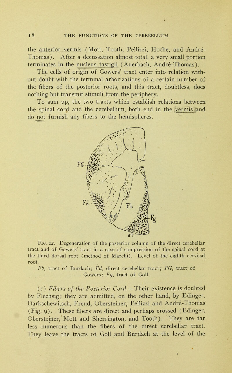 the anterior vermis (Mott, Tooth, Pelhzzi, Hoche, and Andre- Thomas). After a decussation almost total, a very small portion terminates in the nucleus fastigii (Auerbach, Andre-Thomas). The cells of origin of Gowers' tract enter into relation with- out doubt with the terminal arborizations of a certain number of the fibers of the posterior roots, and this tract, doubtless, does nothing but transmit stimuli from the periphery. To sum up, the two tracts which establish relations between the spinal cord and the cerebellum, both end in the vermis land do not furnish any fibers to the hemispheres. Fig. 12. Degeneration of the posterior column of the direct cerebellar tract and of Gowers' tract in a case of compression of the spinal cord at the third dorsal root (method of Marchi). Level of the eighth cervical root. Fh, tract of Burdach; Fd, direct cerebellar tract; FG, tract of Gowers; Fg, tract of Goll. (c) Fibers of the Posterior Cord.—Their existence is doubted by Flechsig; they are admitted, on the other hand, by Edinger, Darkschewitsch, Freud, Obersteiner, Pellizzi and Andre-Thomas (Fig. 9). These fibers are direct and perhaps crossed (Edinger, Obersteiner,'Mott and Sherrington, and Tooth). They are far less numerous than the fibers of the direct cerebellar tract. They leave the tracts of Goll and Burdach at the level of the