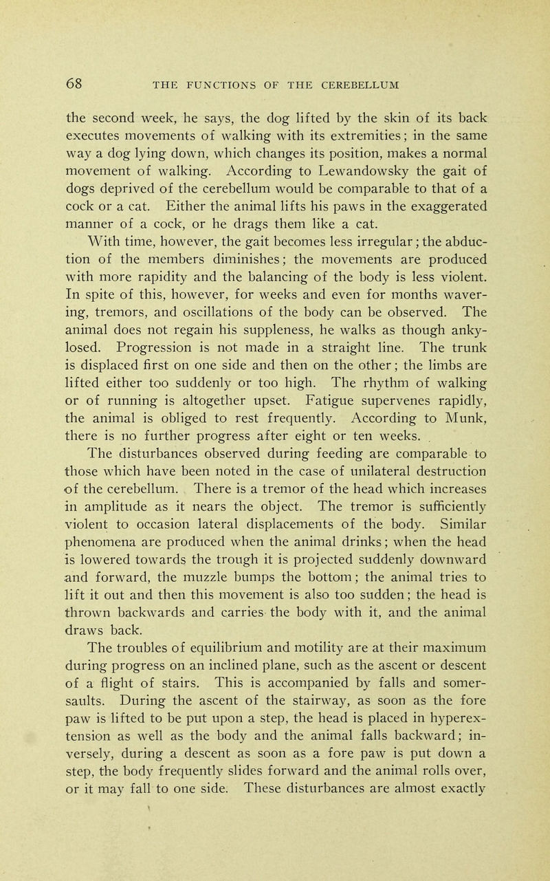 the second week, he says, the dog Hfted by the skin of its back executes movements of walking with its extremities; in the same way a dog lying down, which changes its position, makes a normal movement of walking. According to Lewandowsky the gait of dogs deprived of the cerebellum would be comparable to that of a cock or a cat. Either the animal lifts his paws in the exaggerated manner of a cock, or he drags them like a cat. With time, however, the gait becomes less irregular; the abduc- tion of the members diminishes; the movements are produced with more rapidity and the balancing of the body is less violent. In spite of this, however, for weeks and even for months waver- ing, tremors, and oscillations of the body can be observed. The animal does not regain his suppleness, he walks as though anky- losed. Progression is not made in a straight line. The trunk is displaced first on one side and then on the other; the limbs are lifted either too suddenly or too high. The rhythm of walking or of running is altogether upset. Fatigue supervenes rapidly, the animal is obliged to rest frequently. According to Munk, there is no further progress after eight or ten weeks. The disturbances observed during feeding are comparable to those which have been noted in the case of unilateral destruction of the cerebellum. There is a tremor of the head which increases in amplitude as it nears the object. The tremor is sufficiently violent to occasion lateral displacements of the body. Similar phenomena are produced when the animal drinks; when the head is lowered towards the trough it is projected suddenly downward and forward, the muzzle bumps the bottom; the animal tries to lift it out and then this movement is also too sudden; the head is thrown backwards and carries the body with it, and the animal draws back. The troubles of equilibrium and motility are at their maximum during progress on an inclined plane, such as the ascent or descent of a flight of stairs. This is accompanied by falls and somer- saults. During the ascent of the stairway, as soon as the fore paw is lifted to be put upon a step, the head is placed in hyperex- tension as well as the body and the animal falls backward; in- versely, during a descent as soon as a fore paw is put down a step, the body frequently slides forward and the animal rolls over, or it may fall to one side. These disturbances are almost exactly