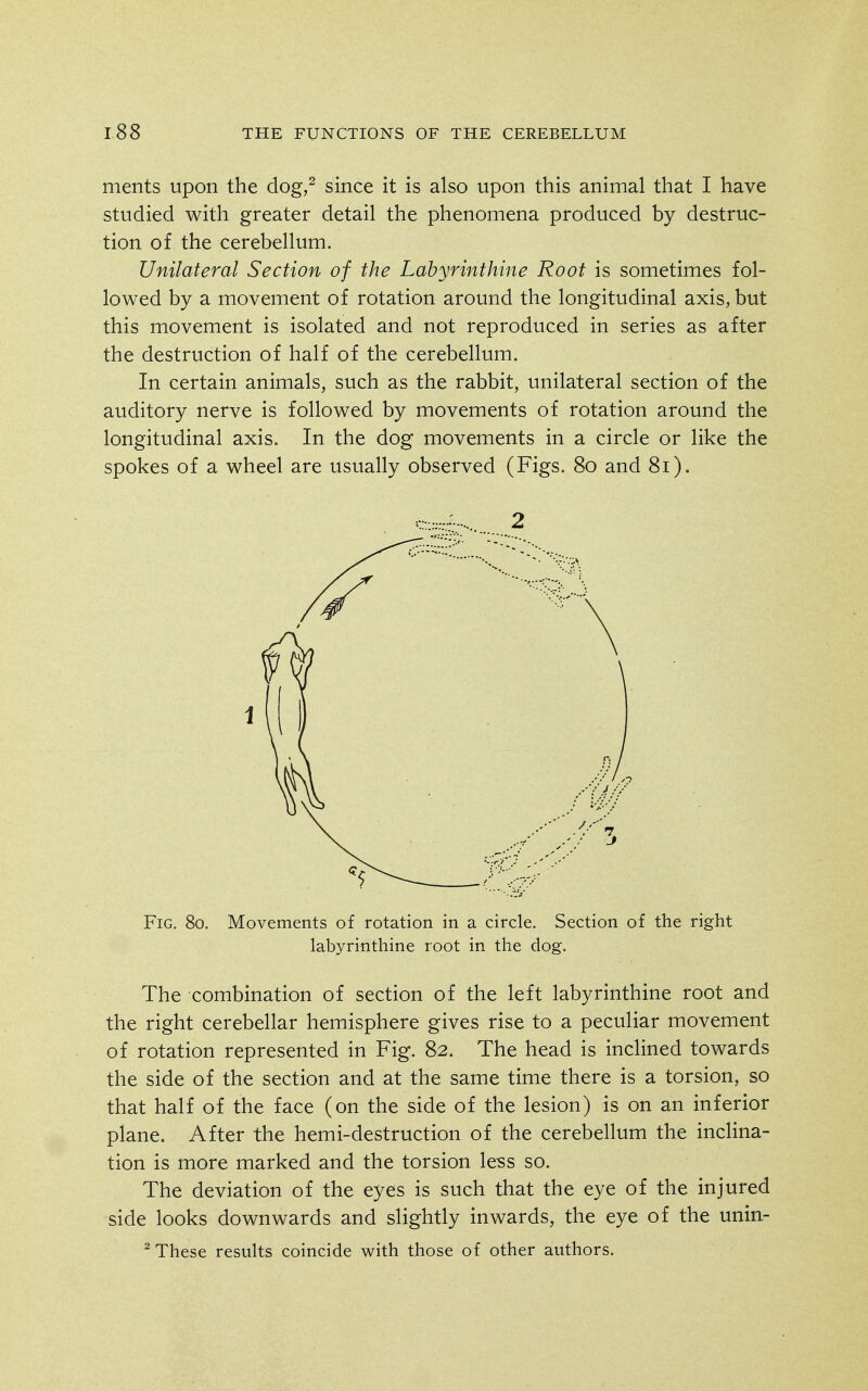 ments upon the dog,^ since it is also upon this animal that I have studied with greater detail the phenomena produced by destruc- tion of the cerebellum. Unilateral Section of the Labyrinthine Root is sometimes fol- lowed by a movement of rotation around the longitudinal axis, but this movement is isolated and not reproduced in series as after the destruction of half of the cerebellum. In certain animals, such as the rabbit, unilateral section of the auditory nerve is followed by movements of rotation around the longitudinal axis. In the dog movements in a circle or like the spokes of a wheel are usually observed (Figs. 80 and 81). Fig. 80. Movements of rotation in a circle. Section of the right labyrinthine root in the dog. The combination of section of the left labyrinthine root and the right cerebellar hemisphere gives rise to a peculiar movement of rotation represented in Fig. 82. The head is inclined towards the side of the section and at the same time there is a torsion, so that half of the face (on the side of the lesion) is on an inferior plane. After the hemi-destruction of the cerebellum the inclina- tion is more marked and the torsion less so. The deviation of the eyes is such that the eye of the injured side looks downwards and slightly inwards, the eye of the unin- ^ These results coincide with those of other authors.