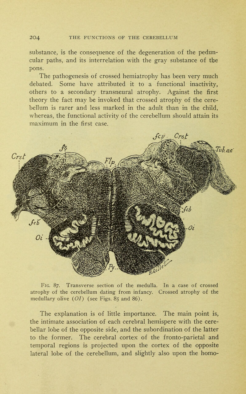 substance, is the consequence of the degeneration of the pedun- cular paths, and its interrelation with the gray substance of the pons. The pathogenesis of crossed hemiatrophy has been very much debated. Some have attributed it to a functional inactivity, others to a secondary transneural atrophy. Against the first theory the fact may be invoked that crossed atrophy of the cere- bellum is rarer and less marked in the adult than in the child, whereas, the functional activity of the cerebellum should attain its maximum in the first case. Cr6t Fig. 87. Transverse section of the medulla. In a case of crossed atrophy of the cerebellum dating from infancy. Crossed atrophy of the medullary olive (O/) (see Figs. 85 and 86). The explanation is of little importance. The main point is, the intimate association of each cerebral hemispere with the cere- bellar lobe of the opposite side, and the subordination of the latter to the former. The cerebral cortex of the fronto-parietal and temporal regions is projected upon the cortex of the opposite lateral lobe of the cerebellum, and slightly also upon the homo-